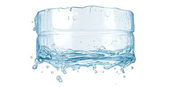 Burger Tomato and Onions