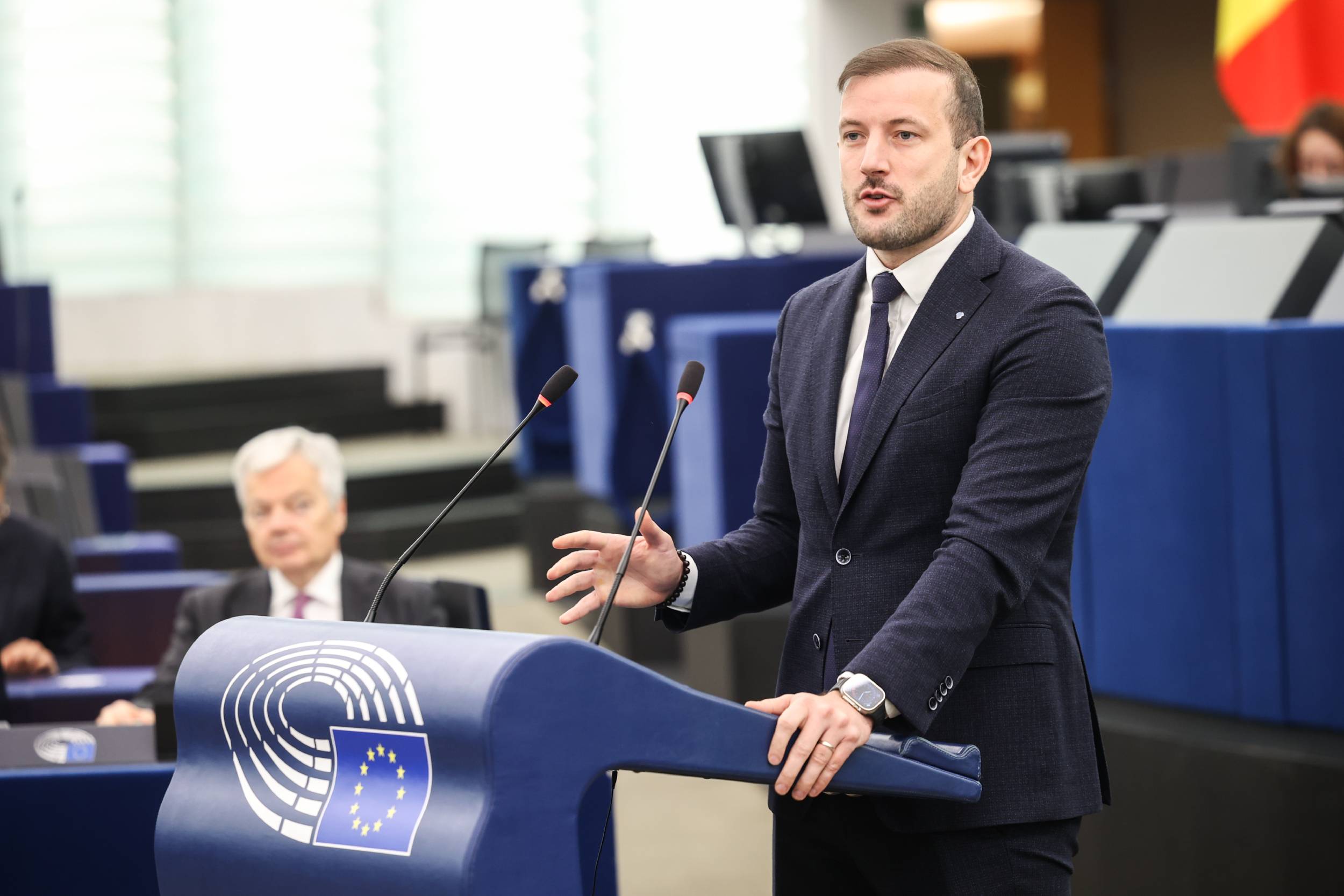 Virginijus Sinkevicius Europarlamentas
