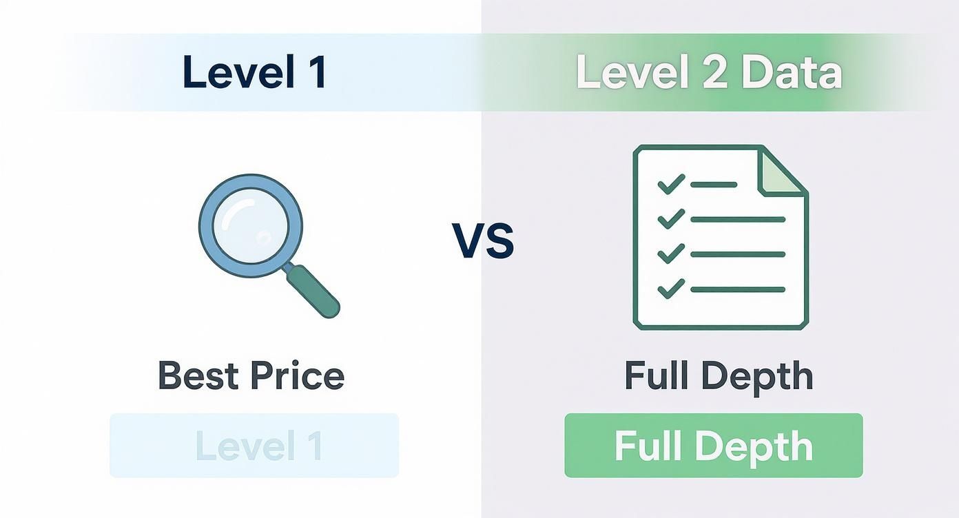 Comparison of Level 1 data showing best price versus Level 2 data showing full market depth.