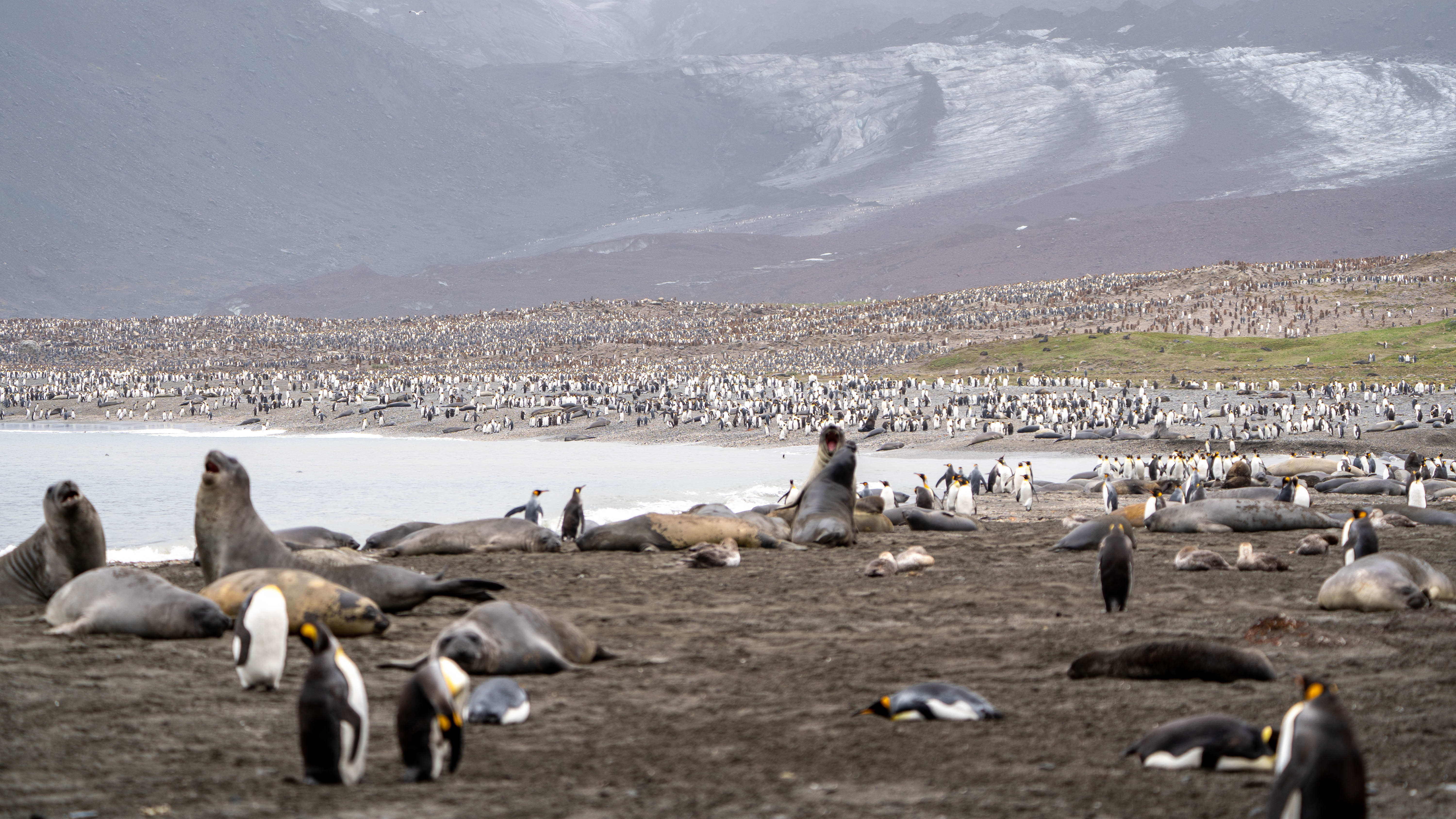 var(--variable-gujGbsbj5)