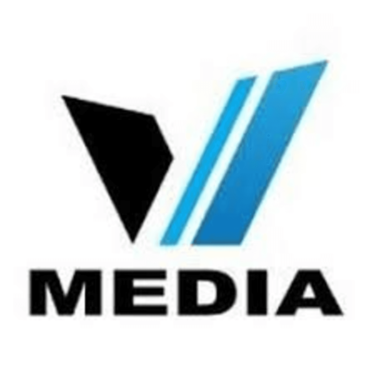V Media logo
