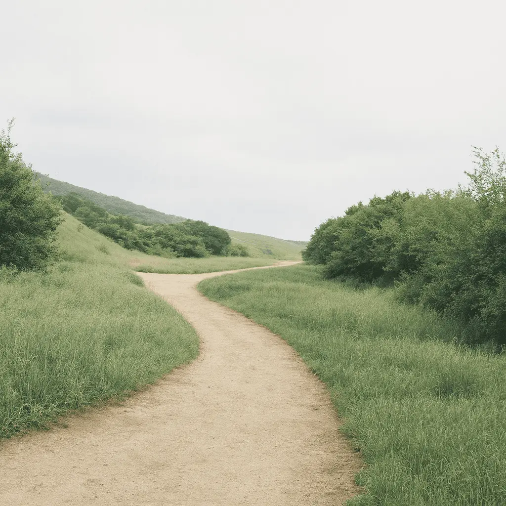 Path