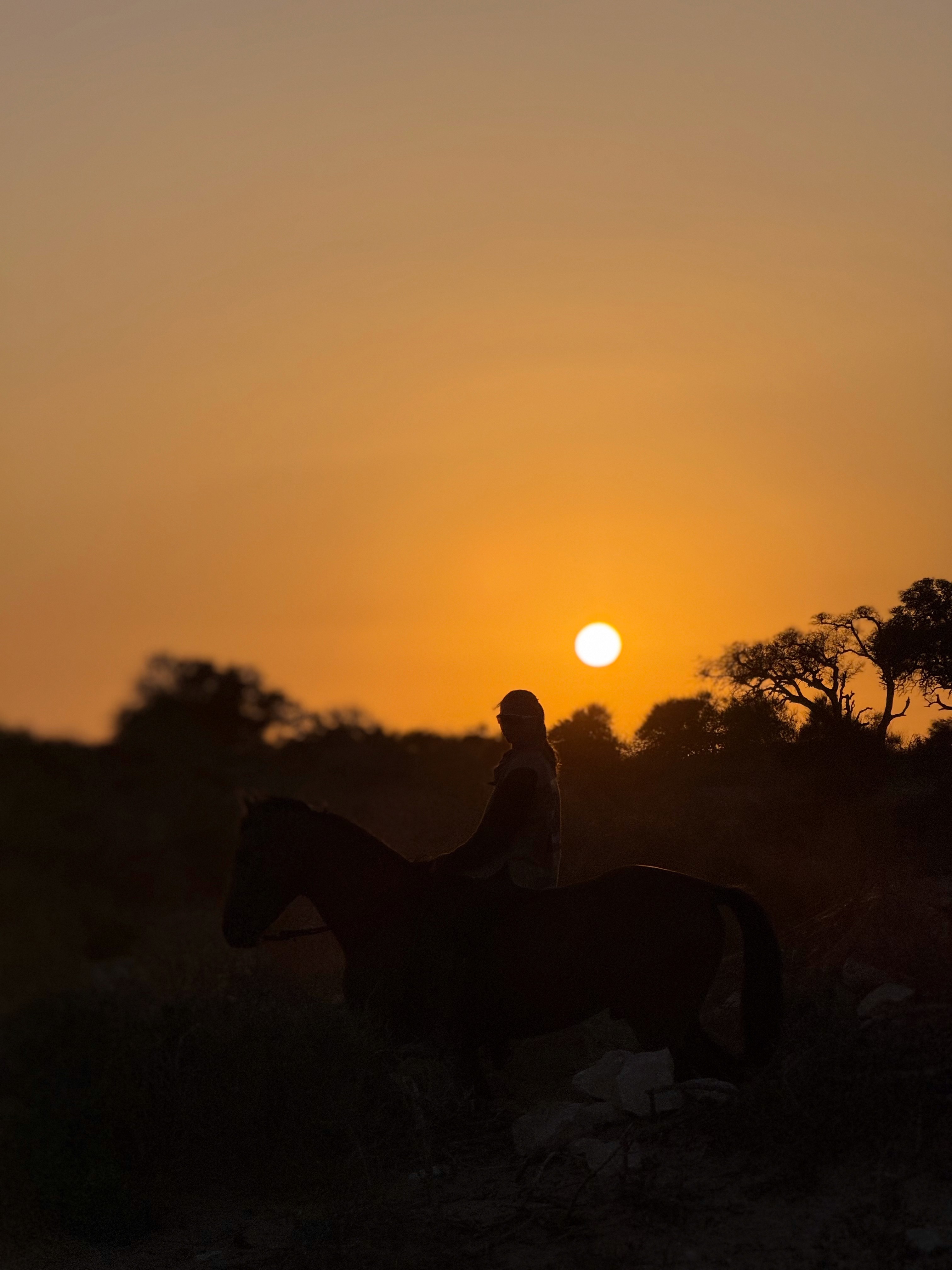 Sunset Horse trekking