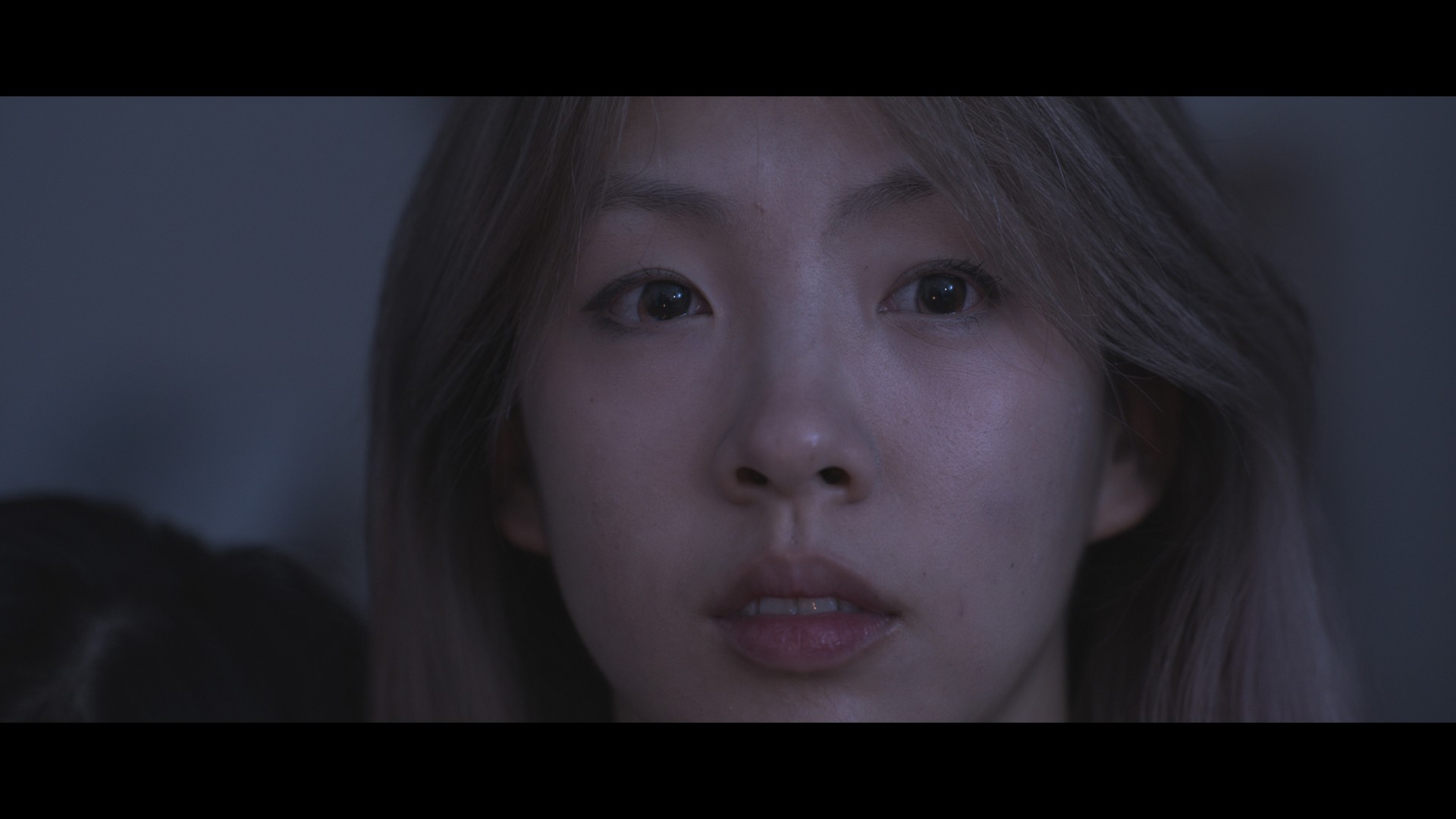 horzon lines Project