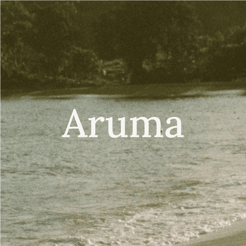  Diseñadora web en Almería: Web minimalista para Aruma Turismo