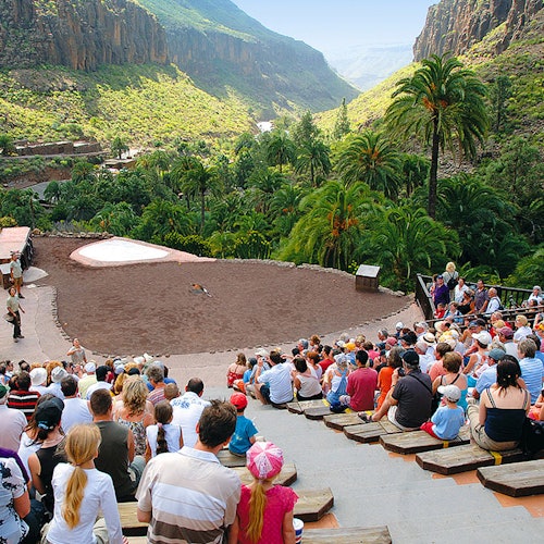 Een openluchttheater met een groot publiek dat naar een voorstelling kijkt, omgeven door weelderig groen en bergen op de achtergrond.