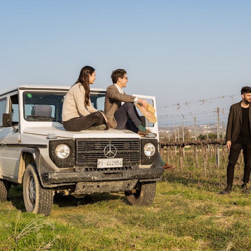 הסברים על זני ענבים