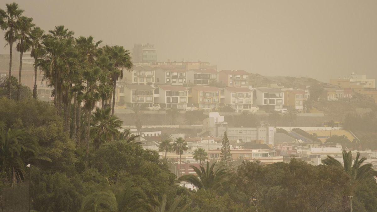 terraza con verdín antes y después limpieza gran canaria