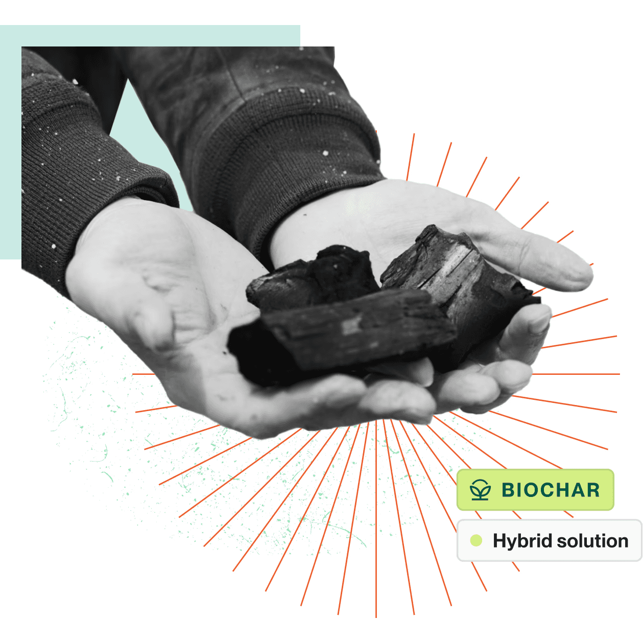 Collage-style illustration of hands holding biochar