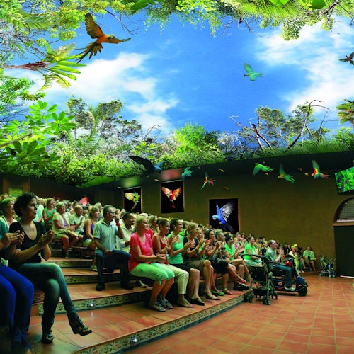 Živá zvířecí výstava