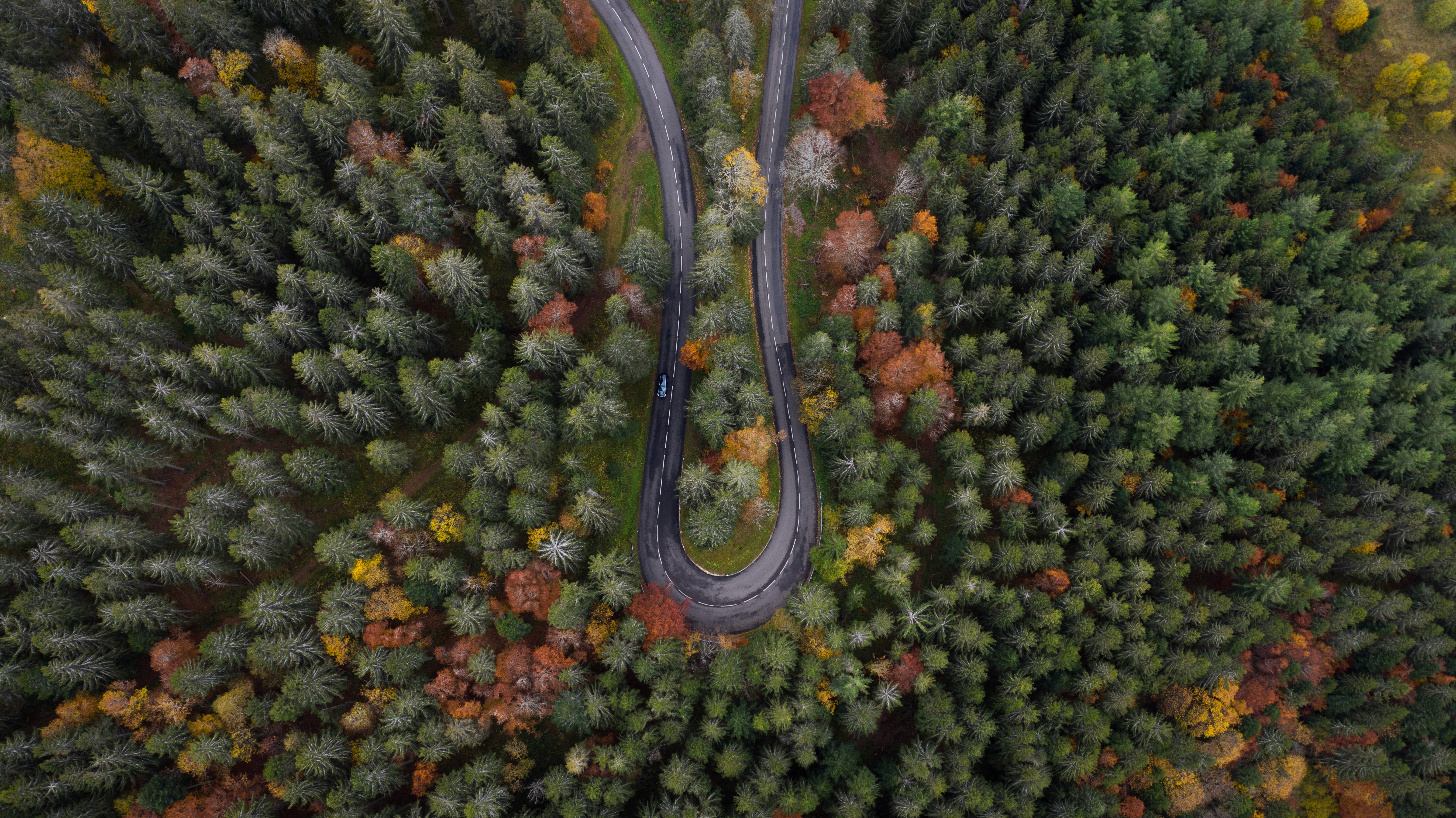 A person in a red turtleneck and round red sunglasses stands against a matching red background. The mood is bold and stylish, with vibrant red tones.