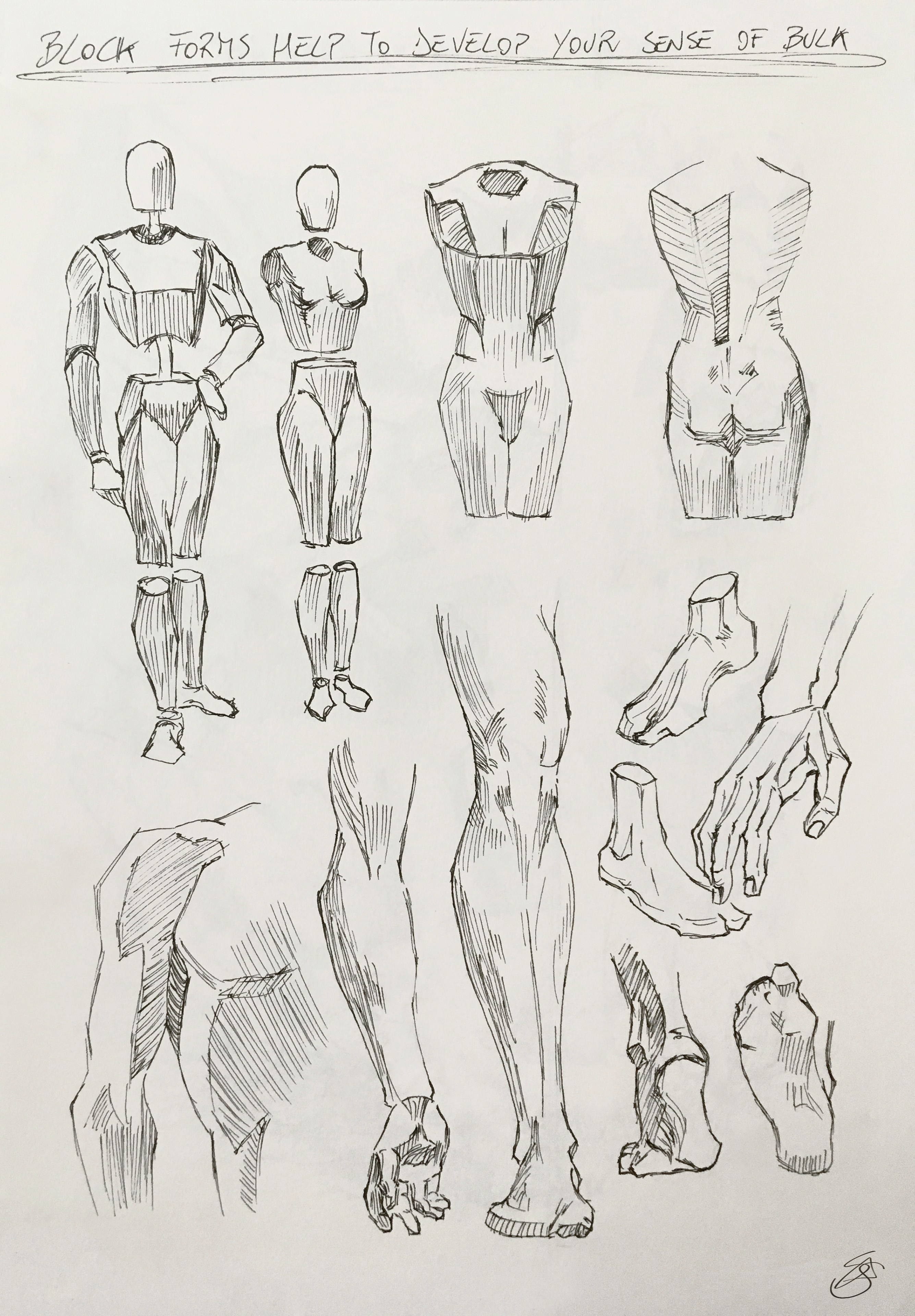 Drawing of anatomical forms to develop a sense of bulk , by Simone De Salvatore