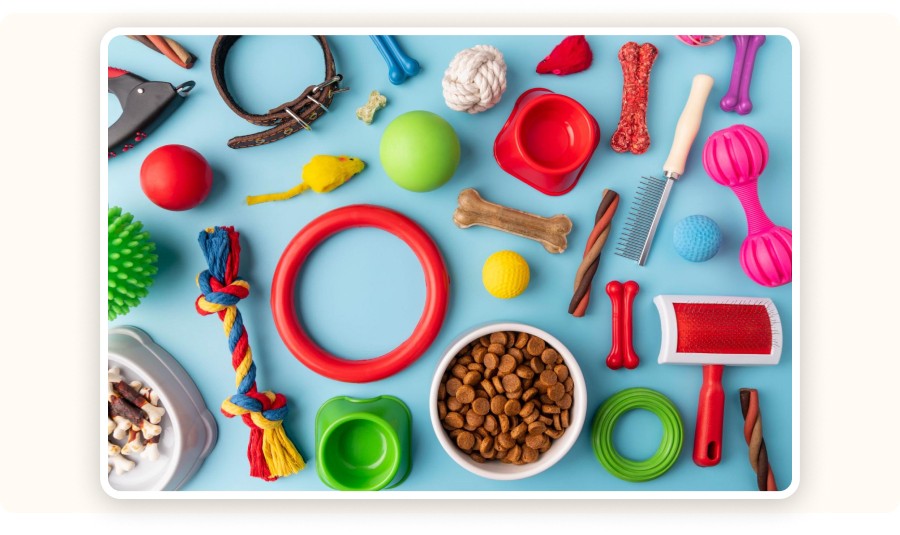 Colorful pet accessories