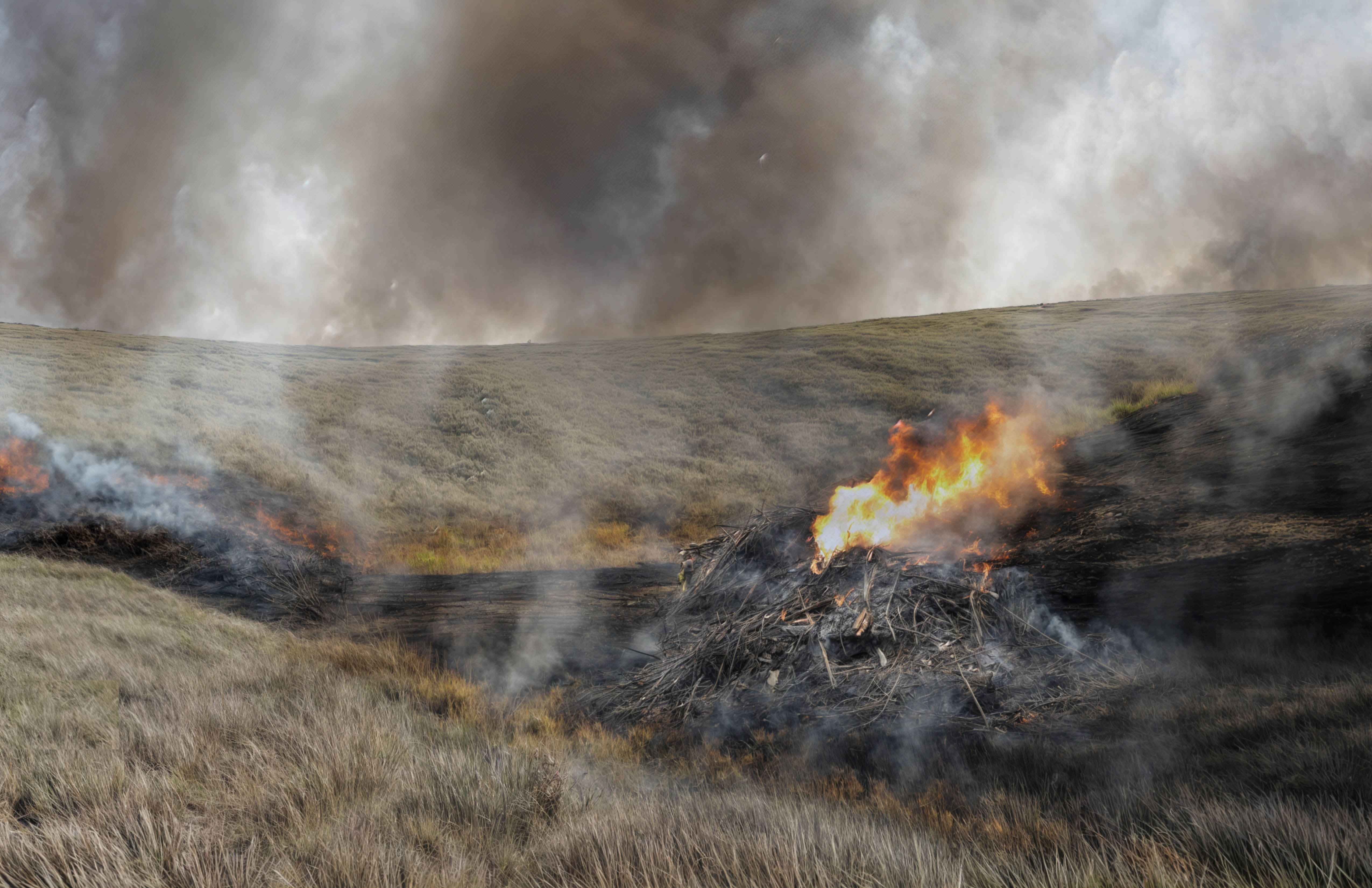 Smoldering Landscapes--burning