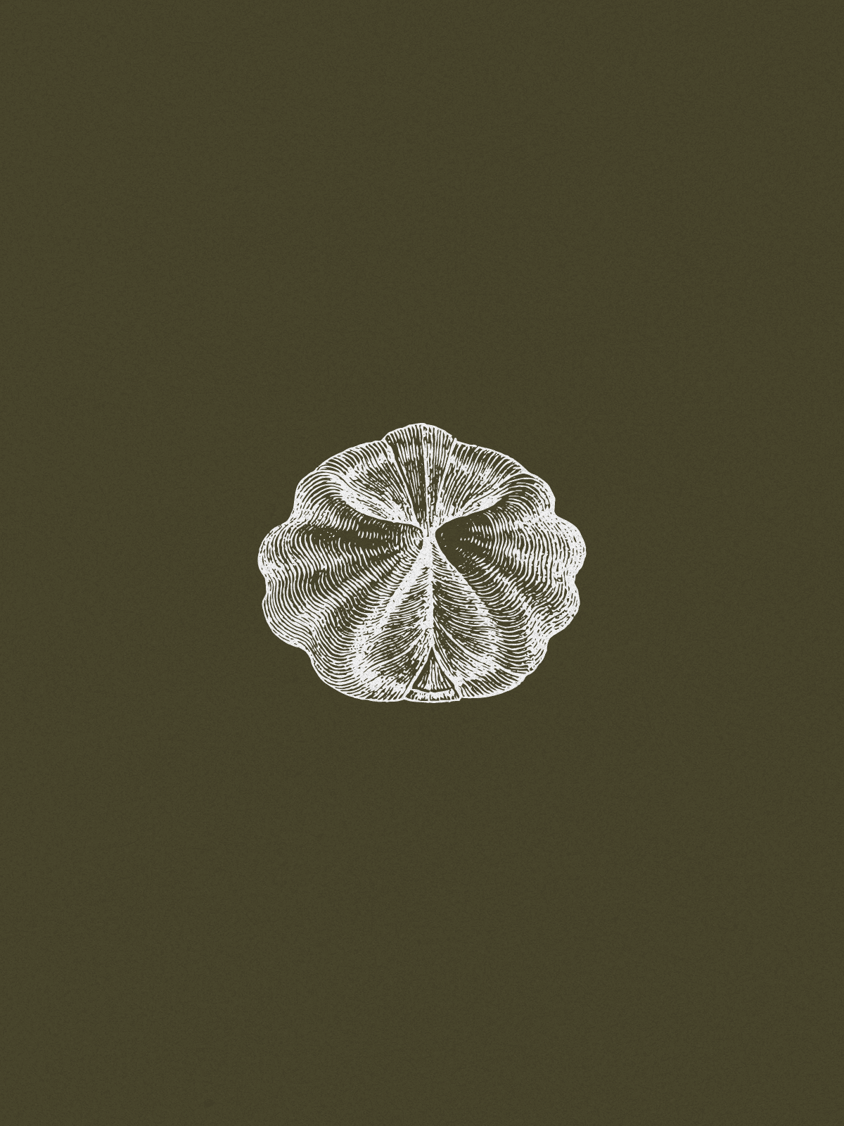 White outline of a classic smiley face followed by the text “Smiley Co” in white serif type on a vivid orange background.