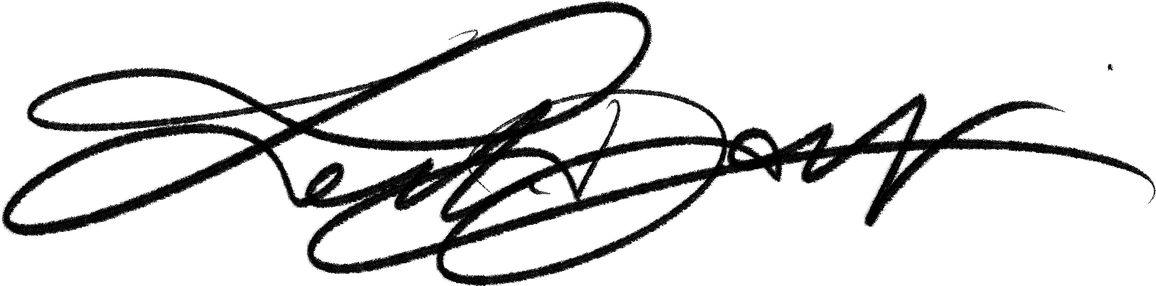 selina donohoe - artistic signature