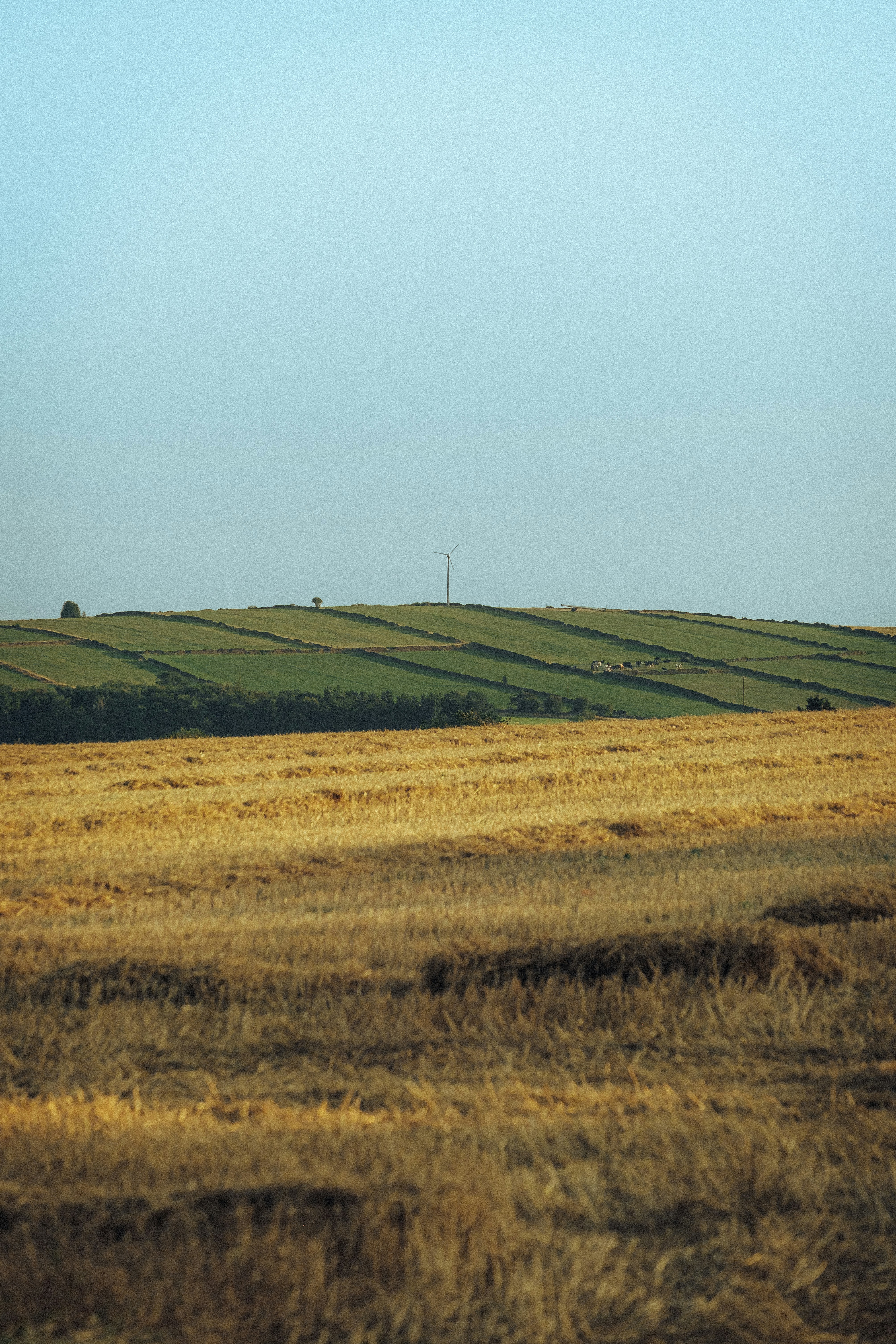 Golden field with rolling green hills and wind turbine.