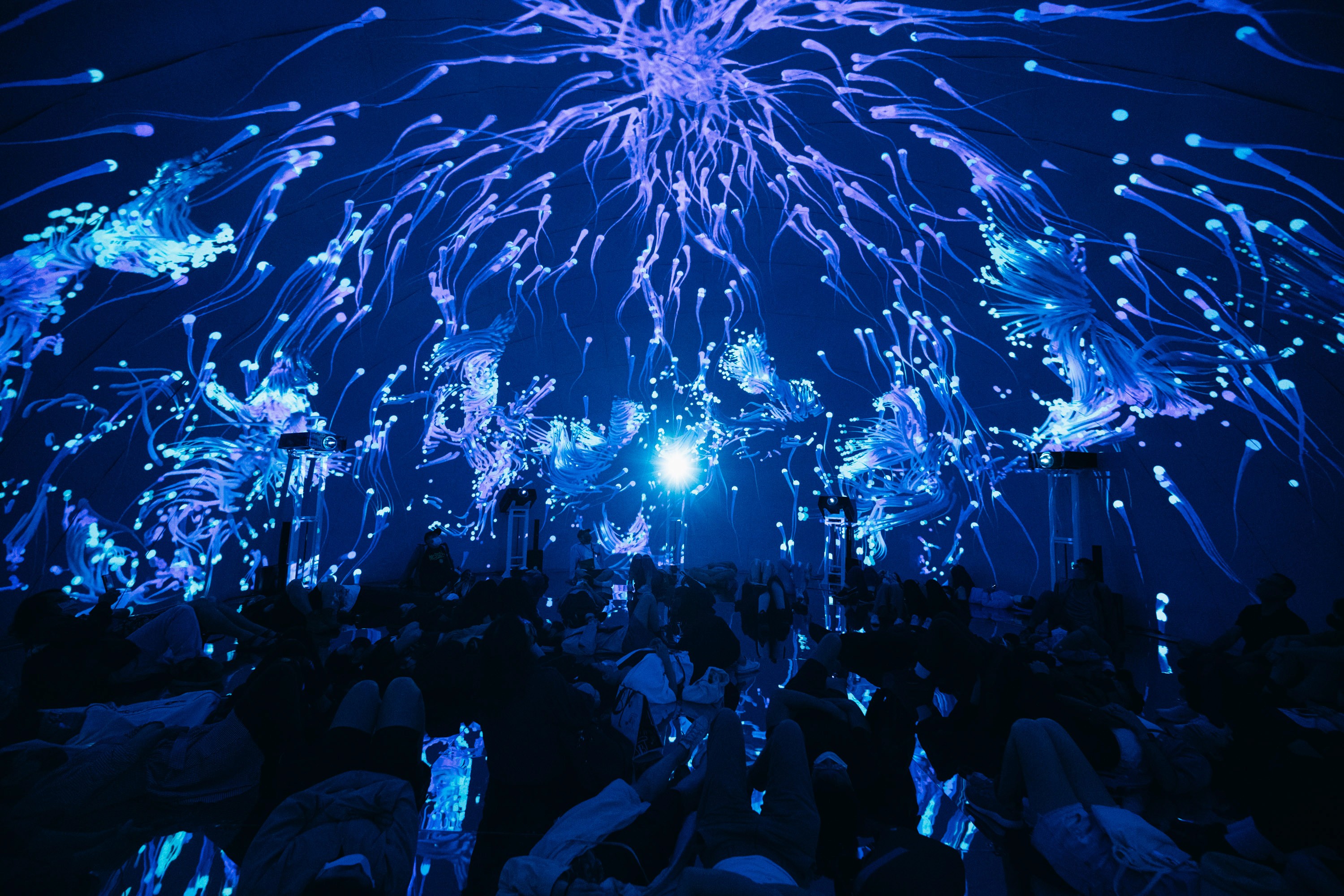 An image showing the live show of LIDO XR immersive and interactive world.