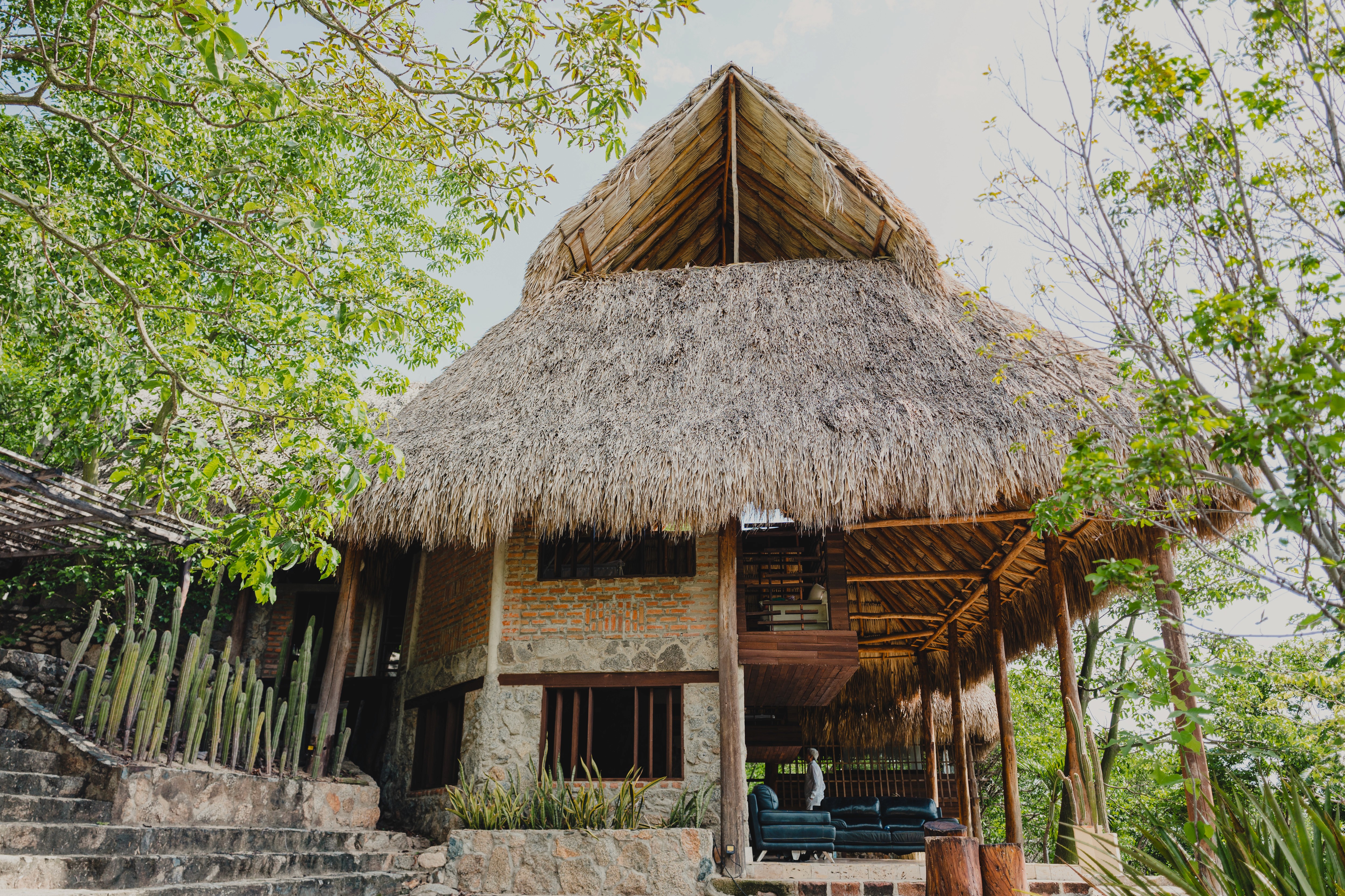 A serene garden-view hotel suite with private patio surrounded by tropical plants