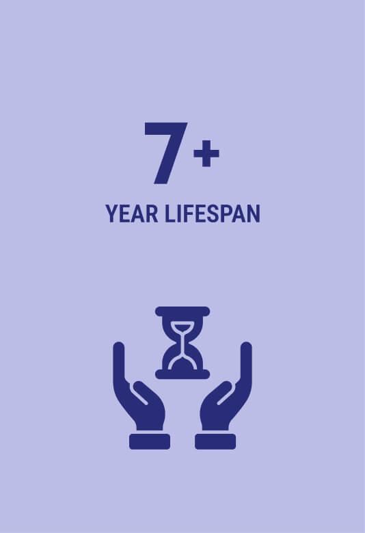 7+ year lifetime icon.