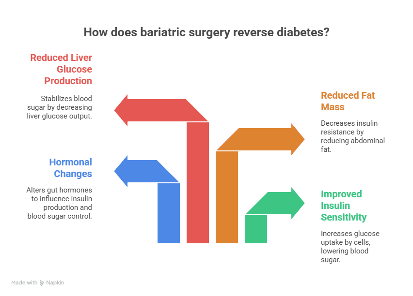 How does Bariatric Surgery Reverse Diabetes