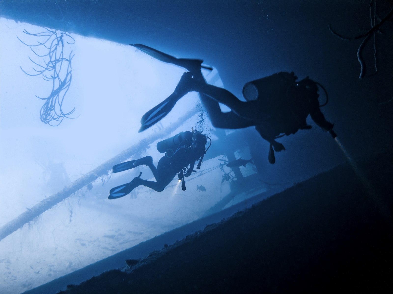 Two scuba divers silhouetted against light while exploring a sunken wreck