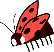 Ladybug