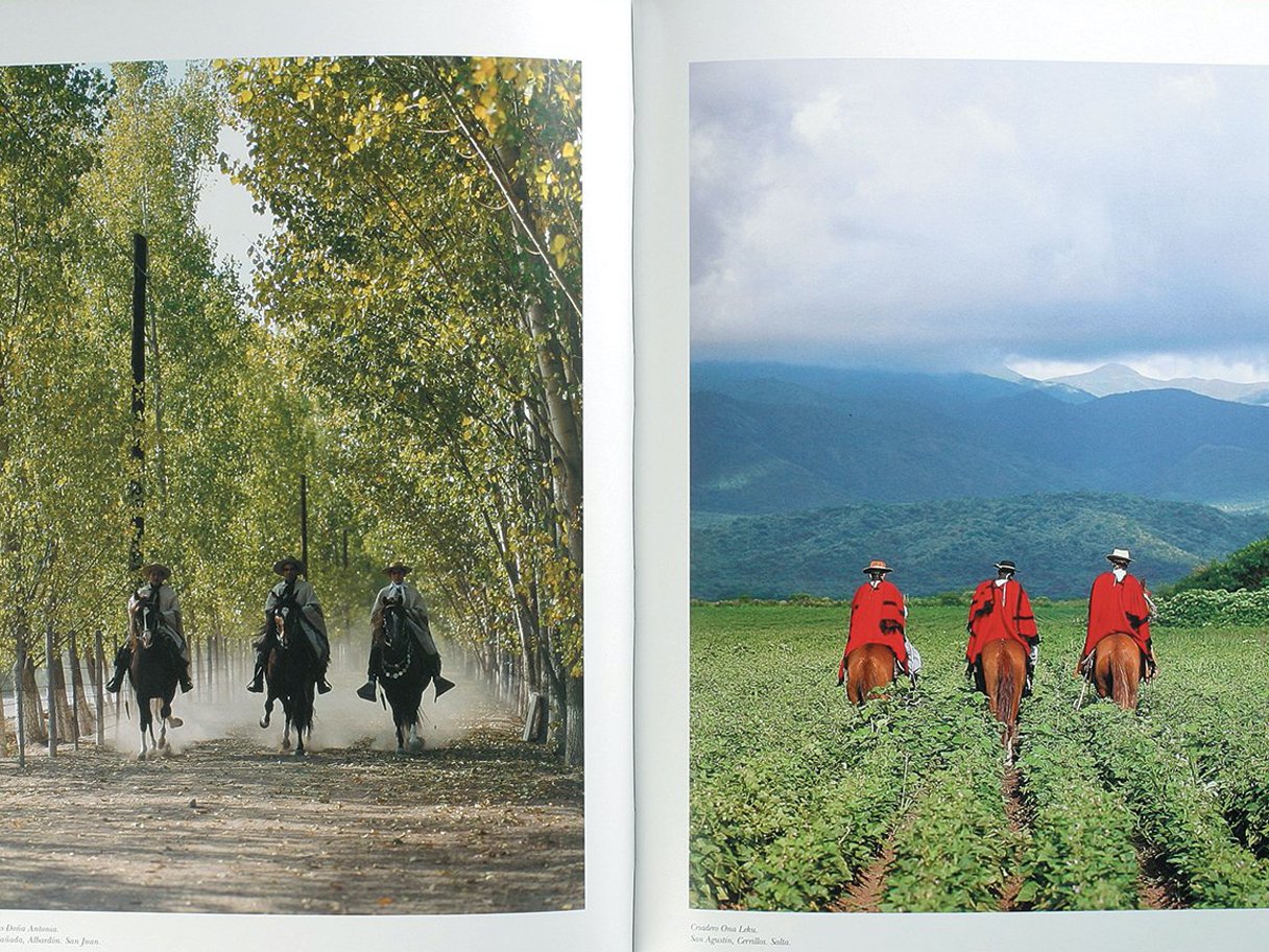 Rooftops of a coastal town with the sea in background