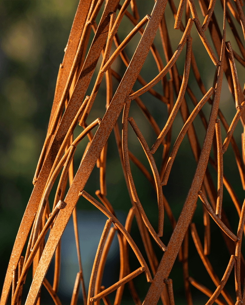 Warped and Twisted by Pat Flanagan