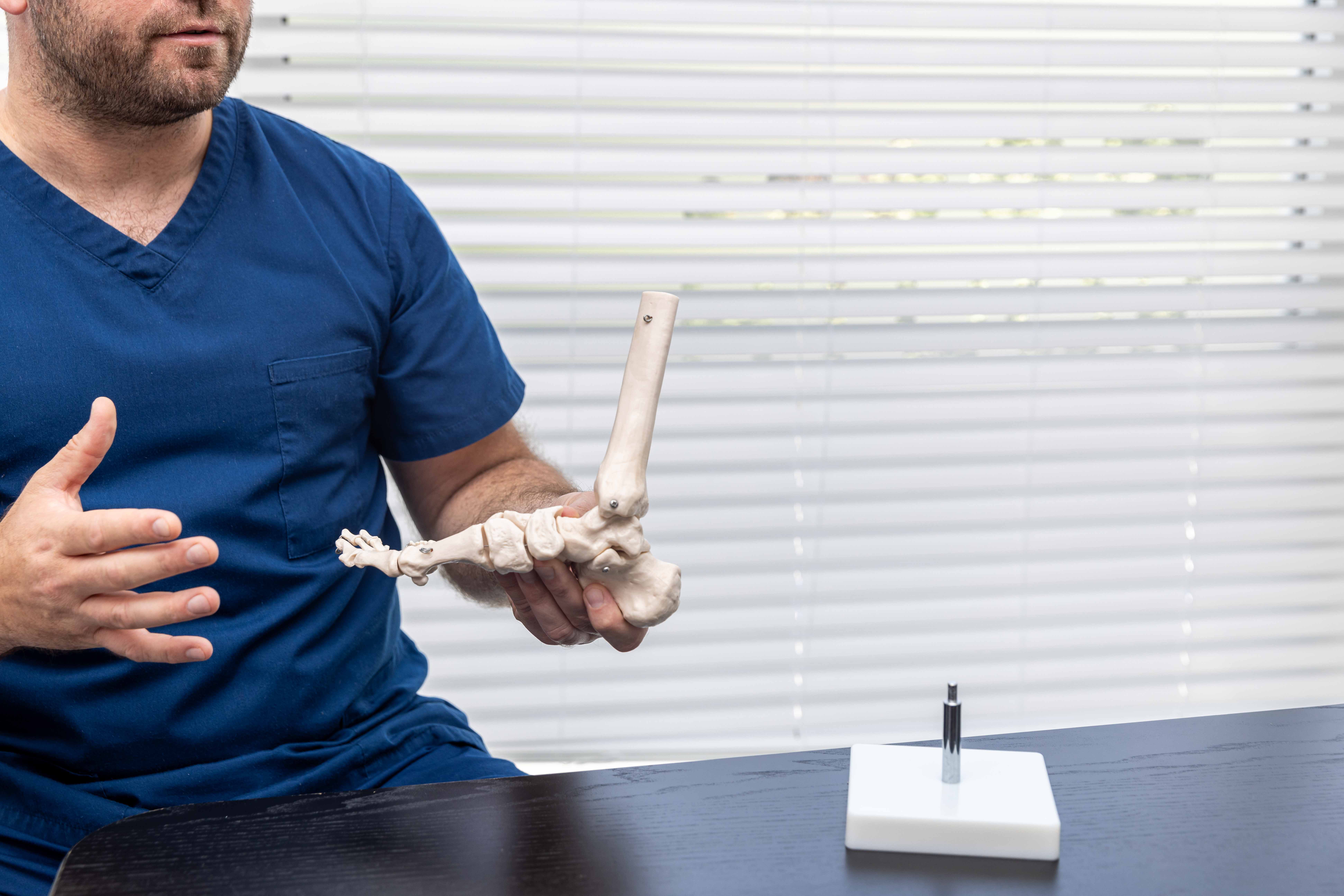 A potiatist holding a model of a skeletal foot. 