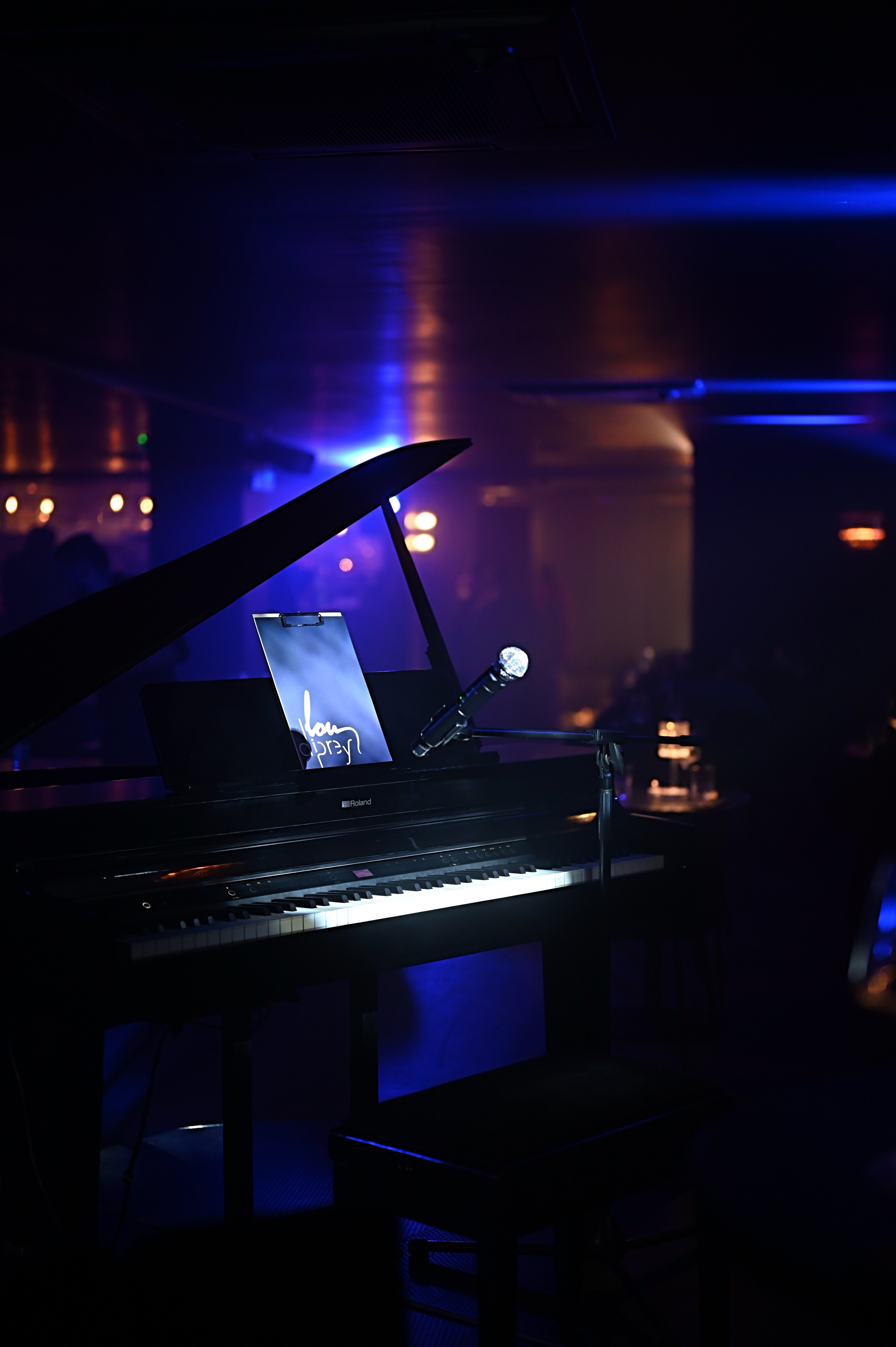 Une chanteuse pop performant sur la scène du cabaret Lou Diprey pendant le dîner-spectacle Nuit Interdite