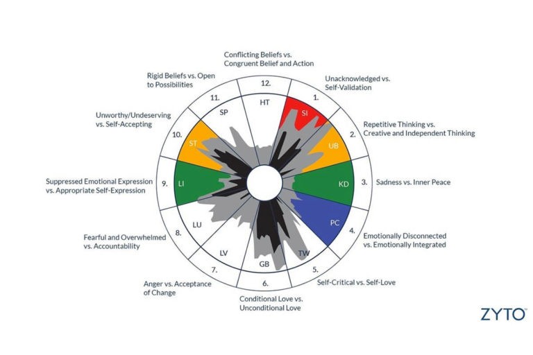 EVOX Perception Index visual tool used to assess emotional response zones