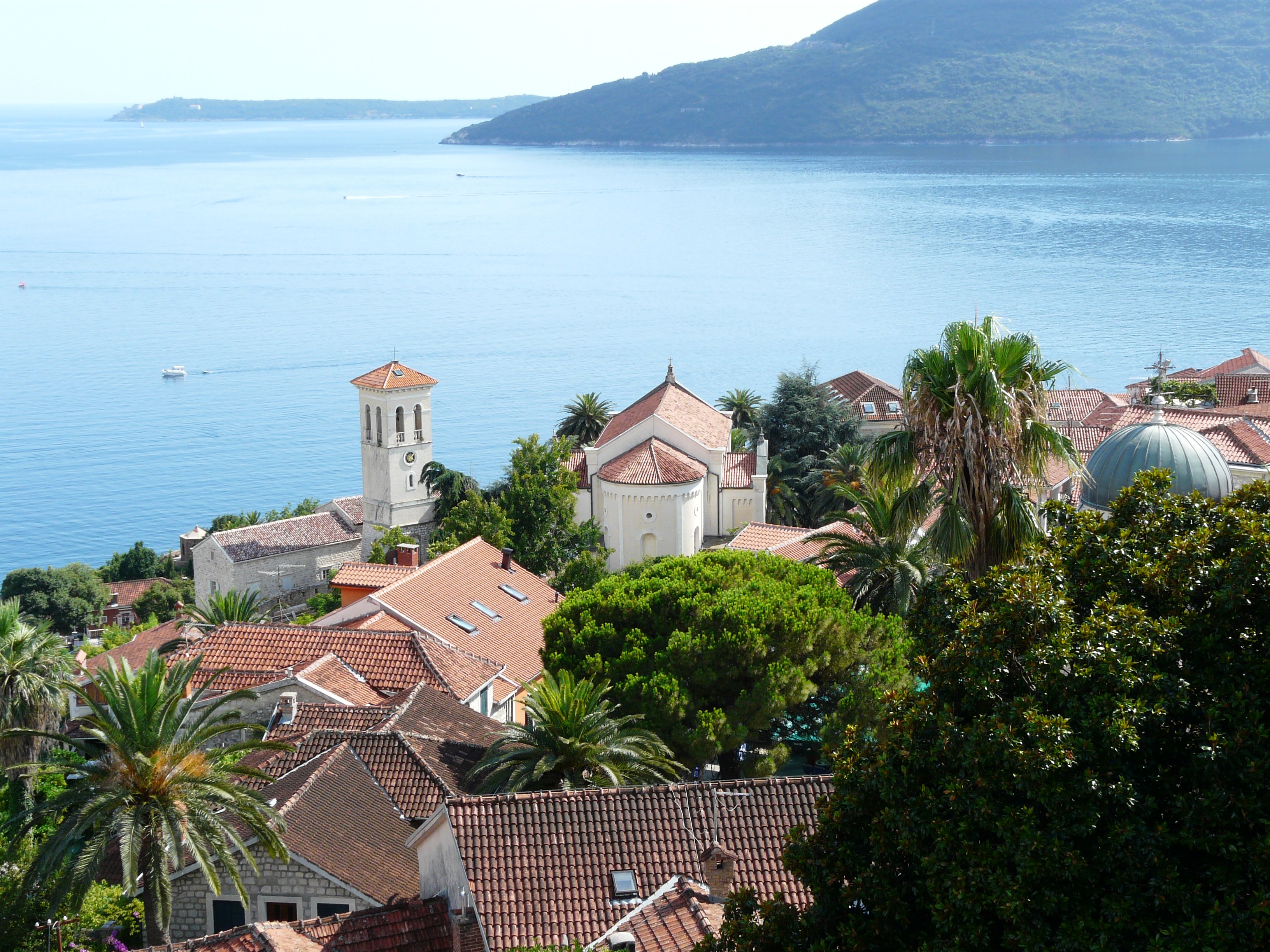 Herceg Novi, GASF 2026