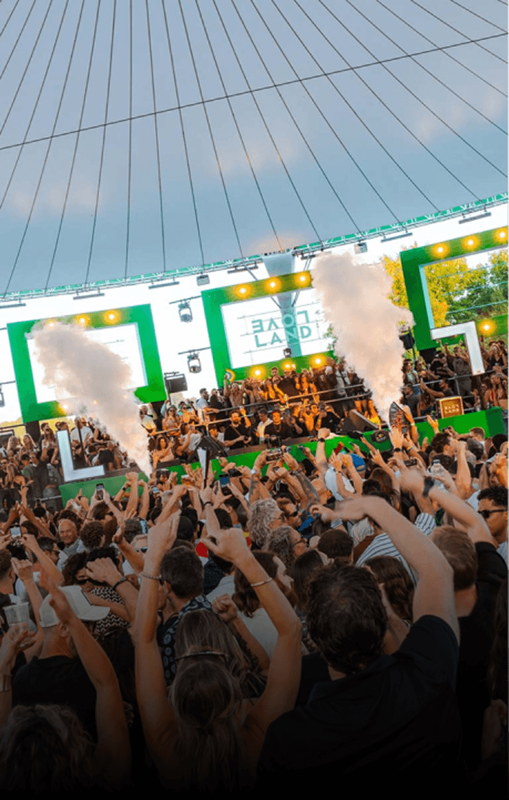 Close-up of a tree stump showing growth rings and a textured brown wood surface.