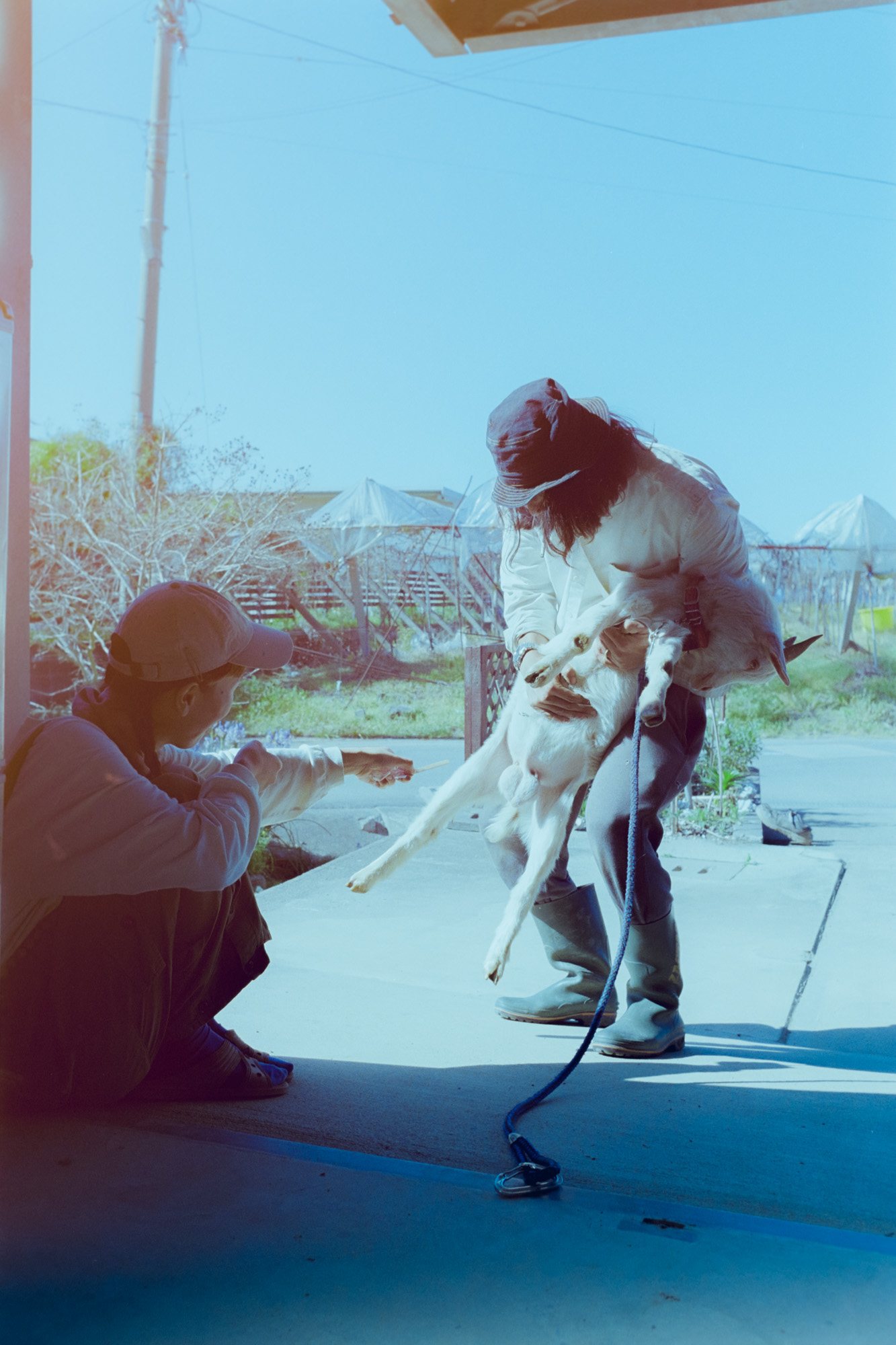 Taisei Matsumoto, archive random photograph 148