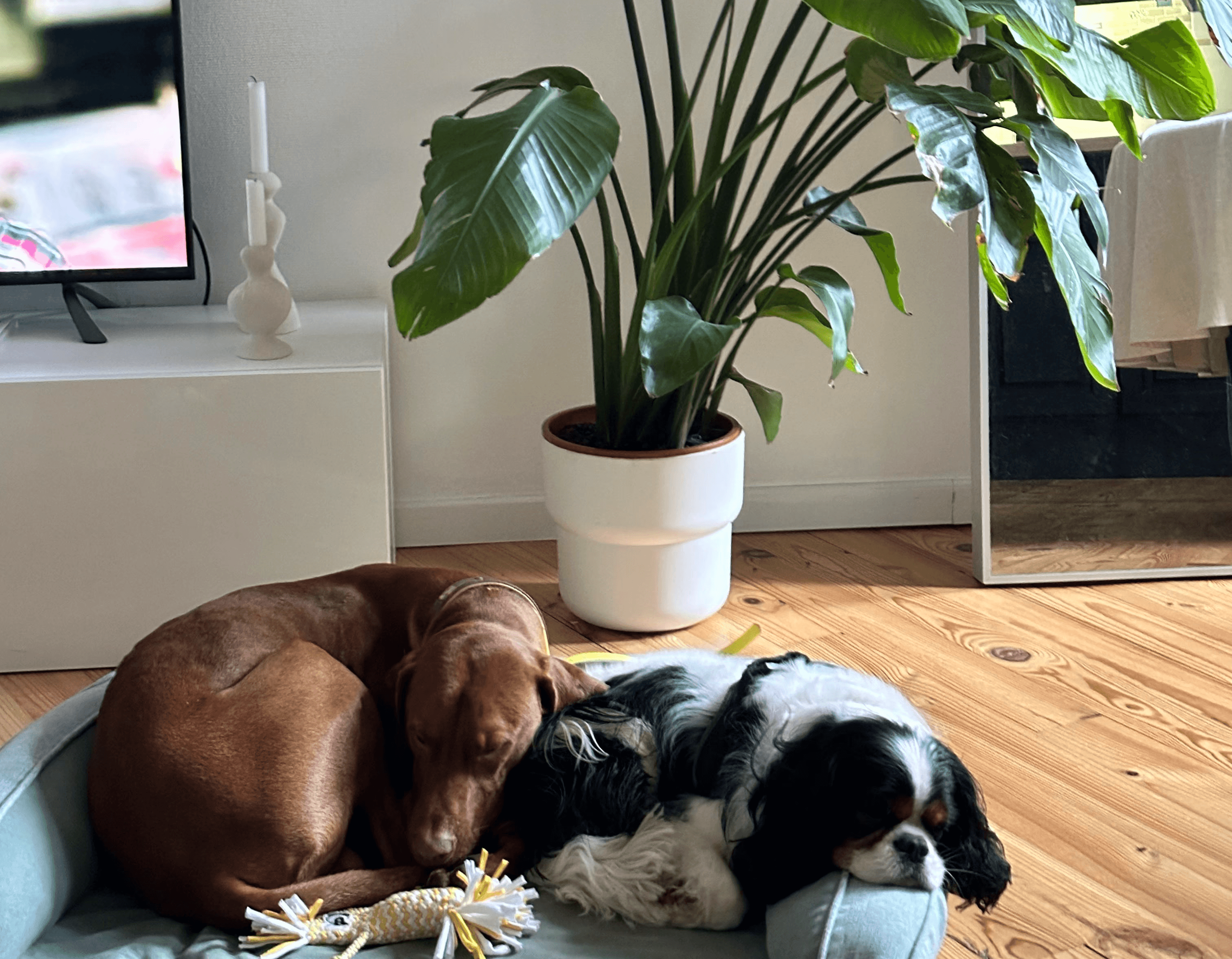 Una&Co Photo Garde à Domicile