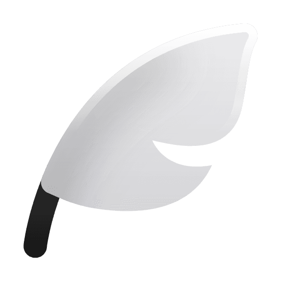 feather icon
