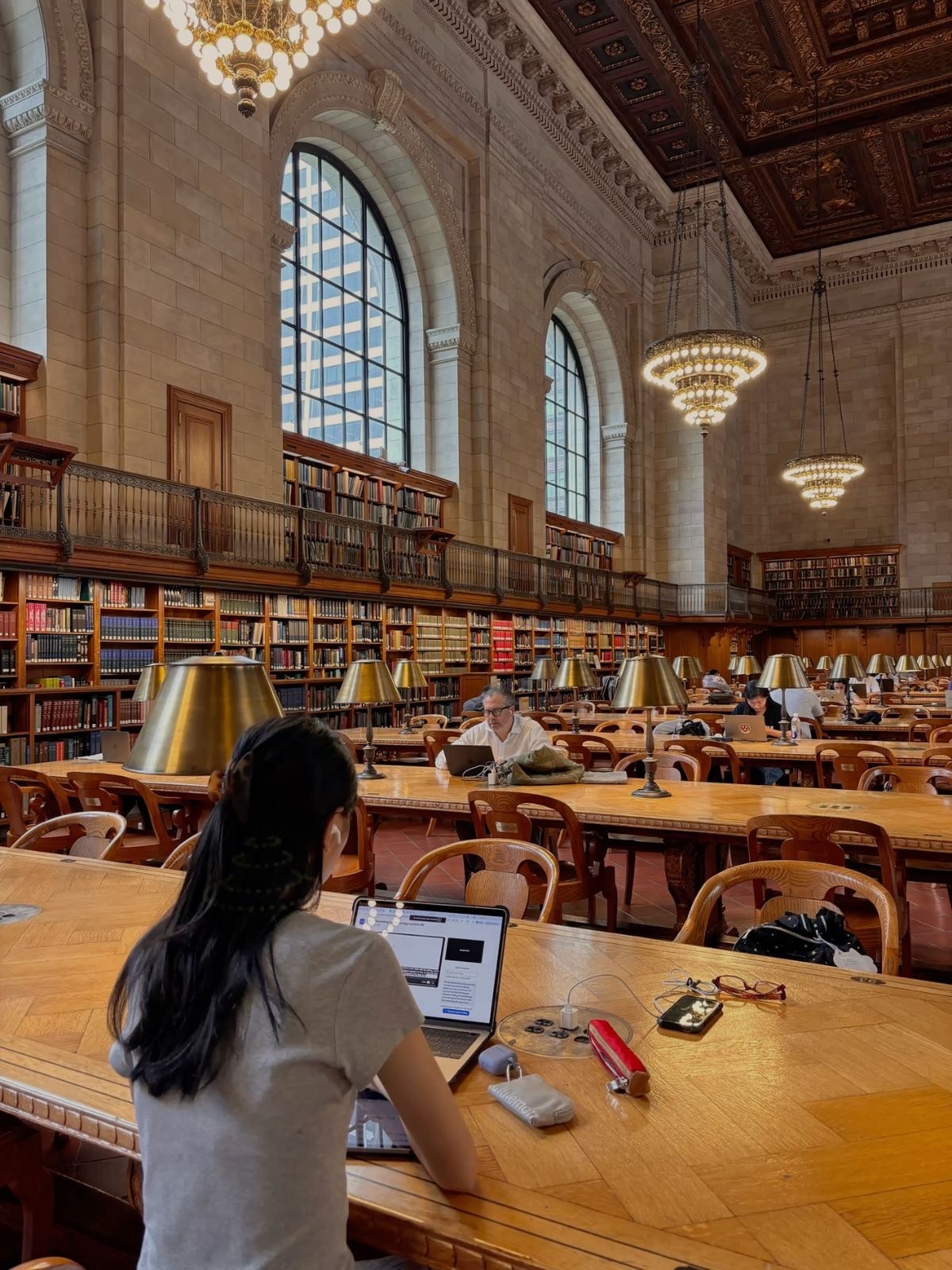Student studying with a laptop in a grand library