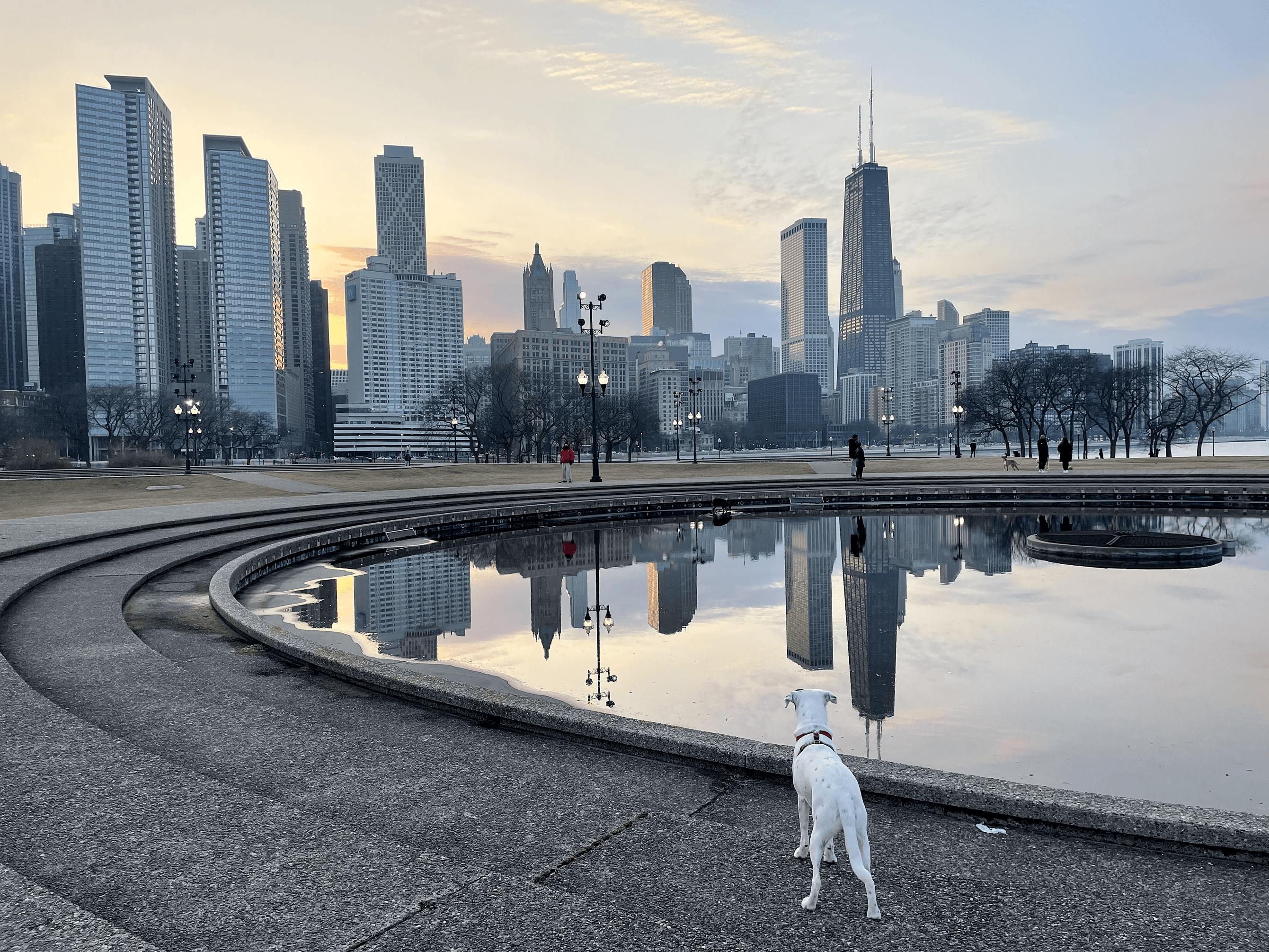 Peace Badejo, wearing sunglasses, looking to the left.