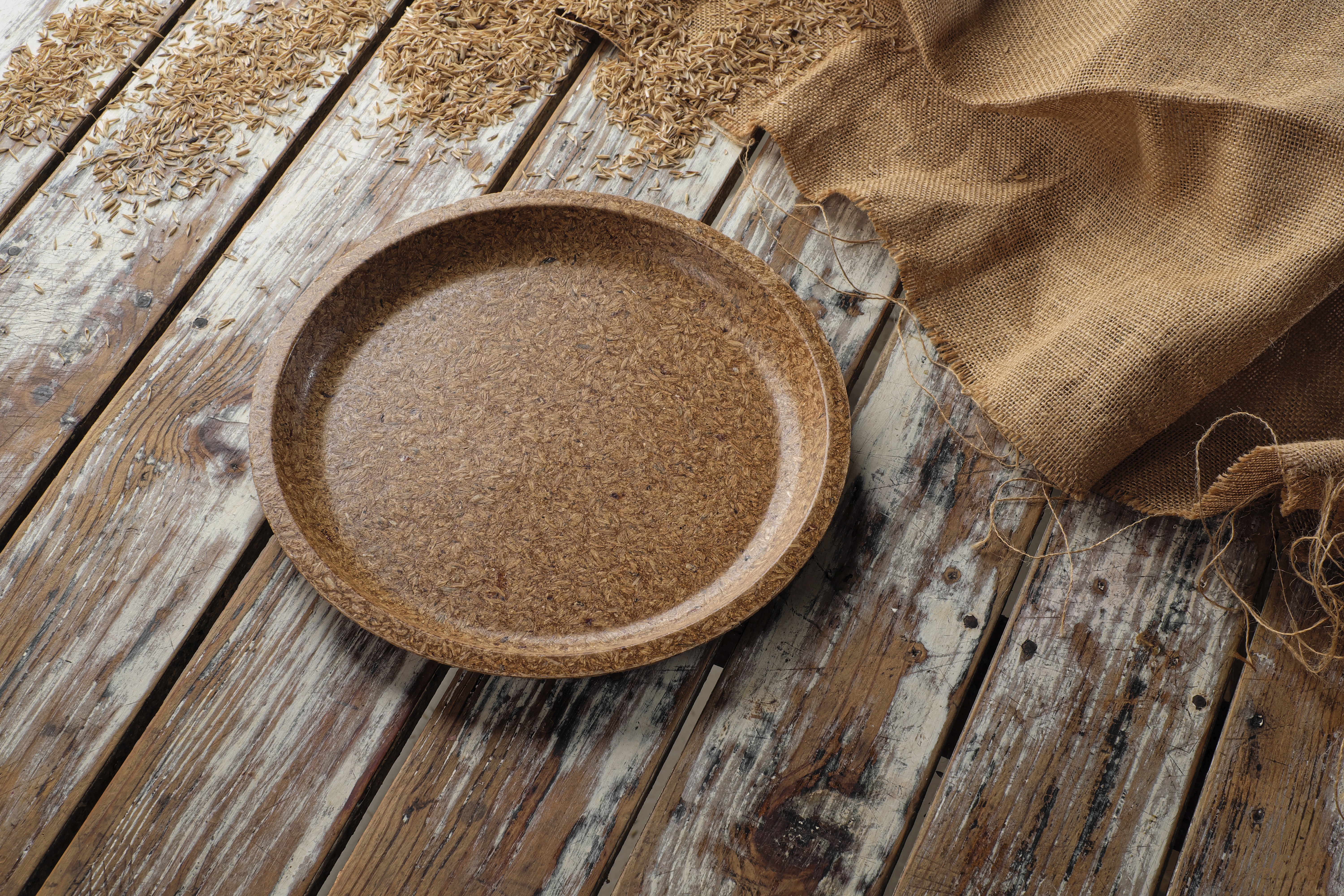 Earth Wing Plate 10 inch