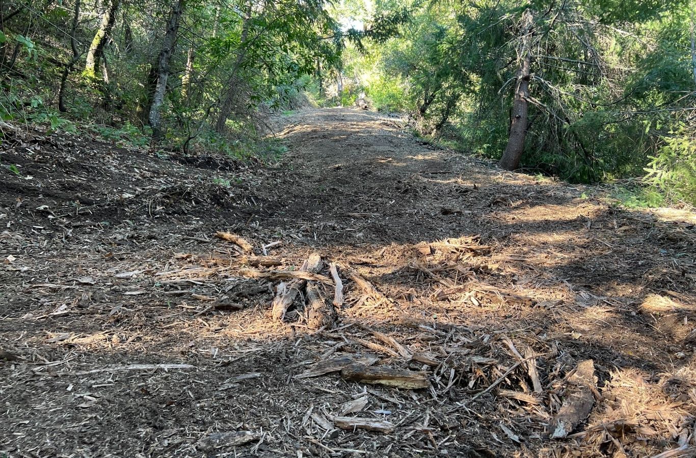 Lisac General Engineering team clearing dense vegetation on large property in Los Altos Hills, CA with precision machinery.