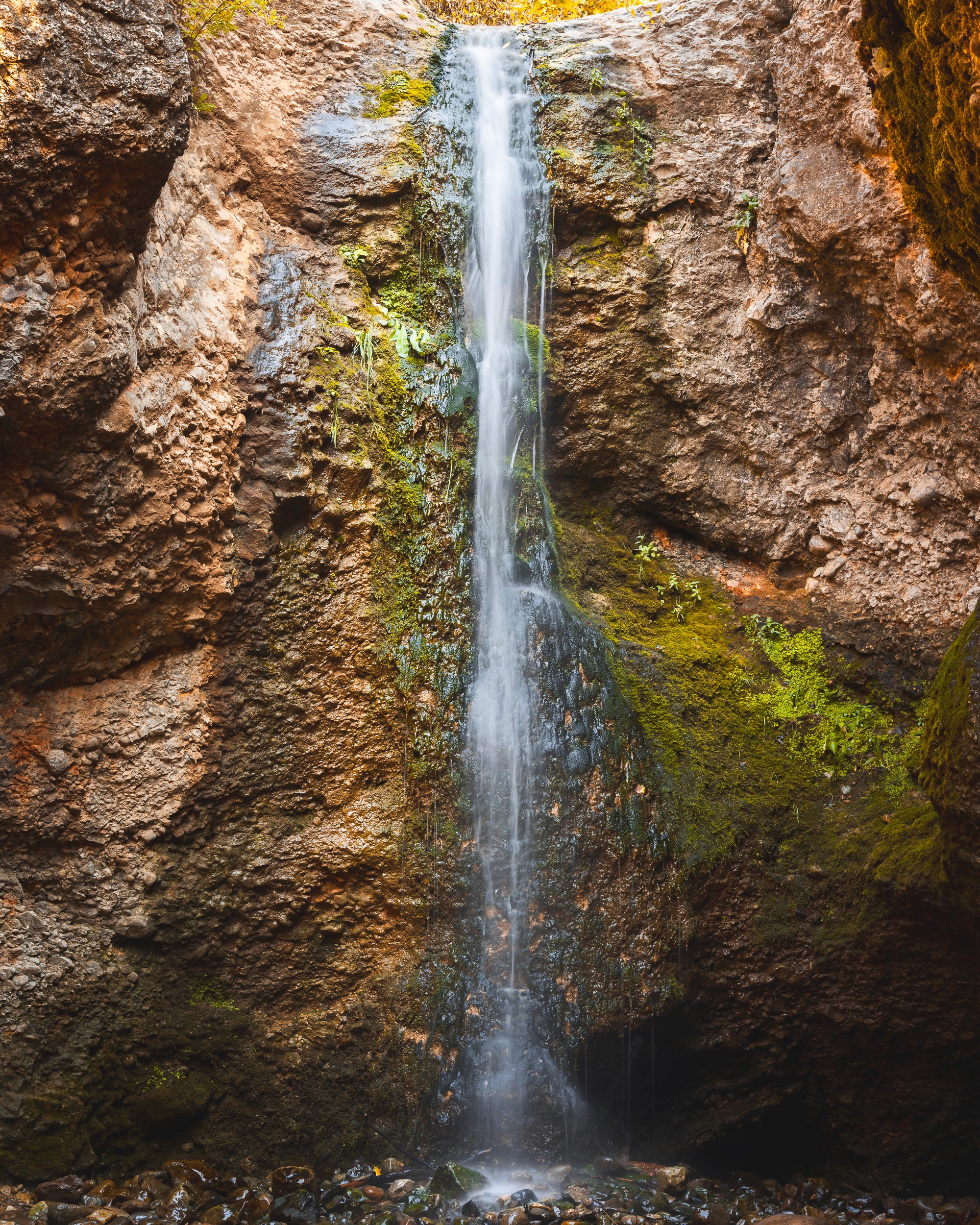 Grotto Falls in the fall, Cottonwood Canyons, Utah