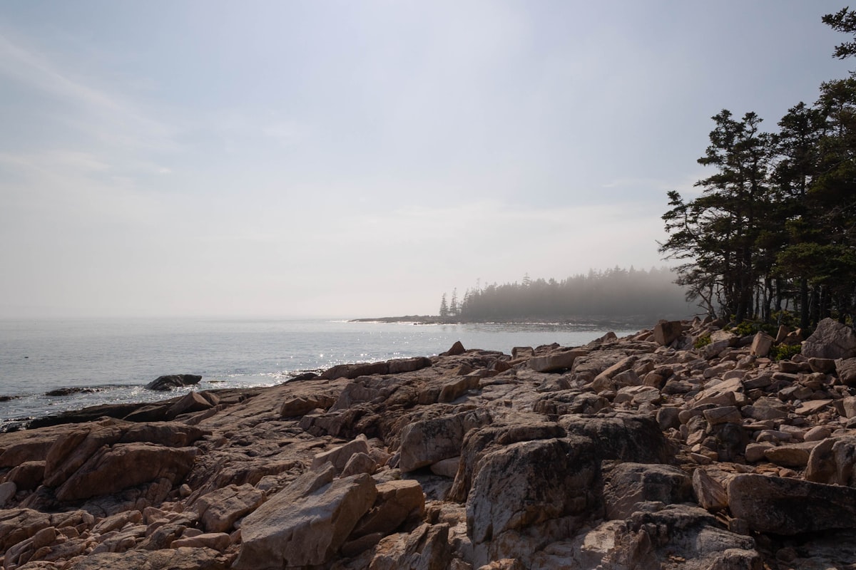 Rocky Maine coastline with autumn color at sunrise