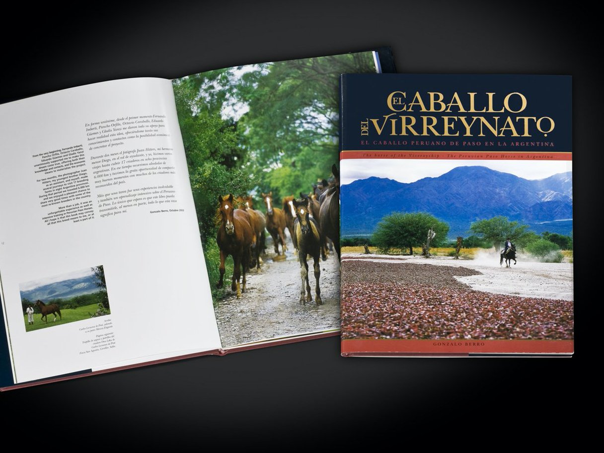 Rustic cabin in a golden field at sunset