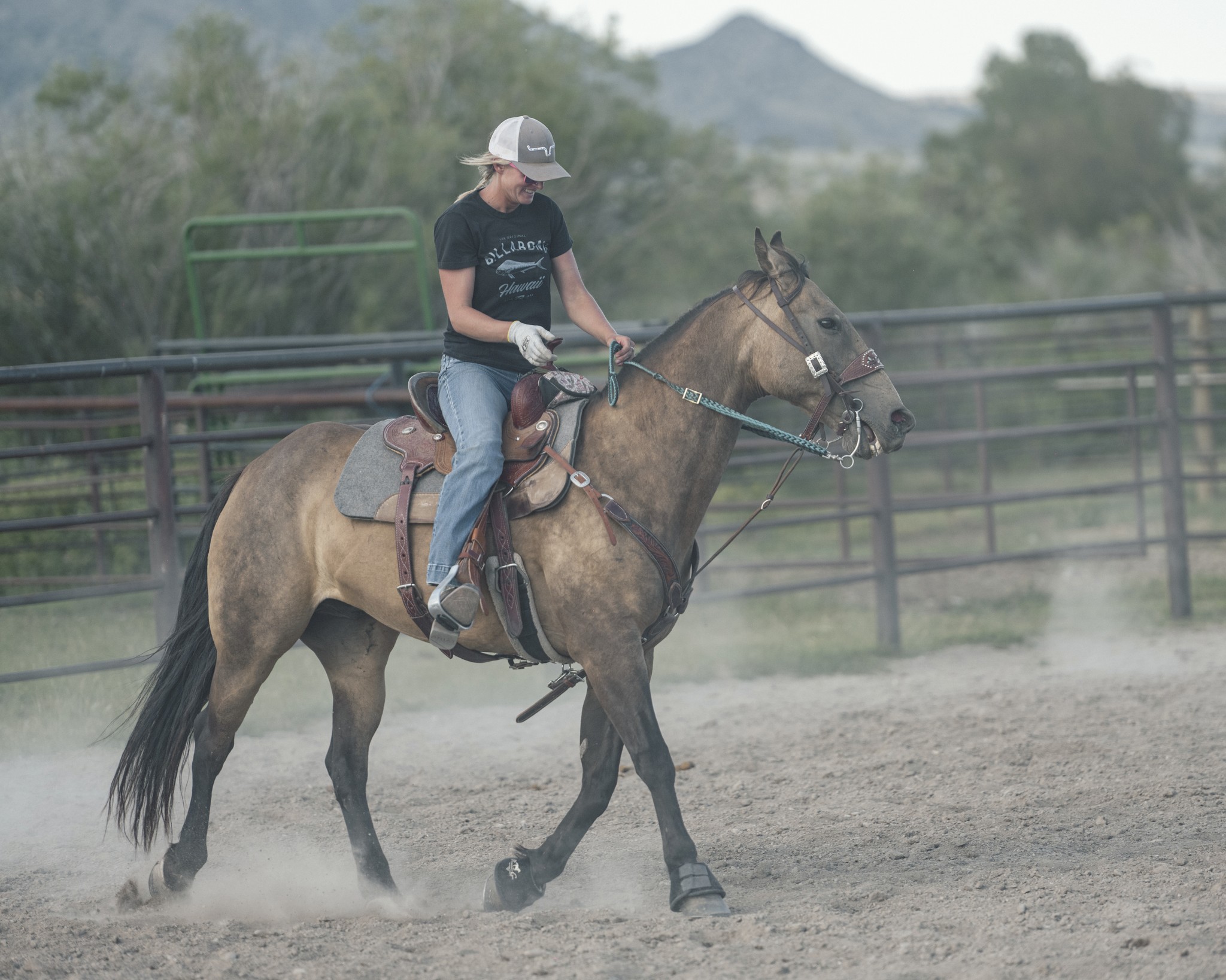 K and Dutch