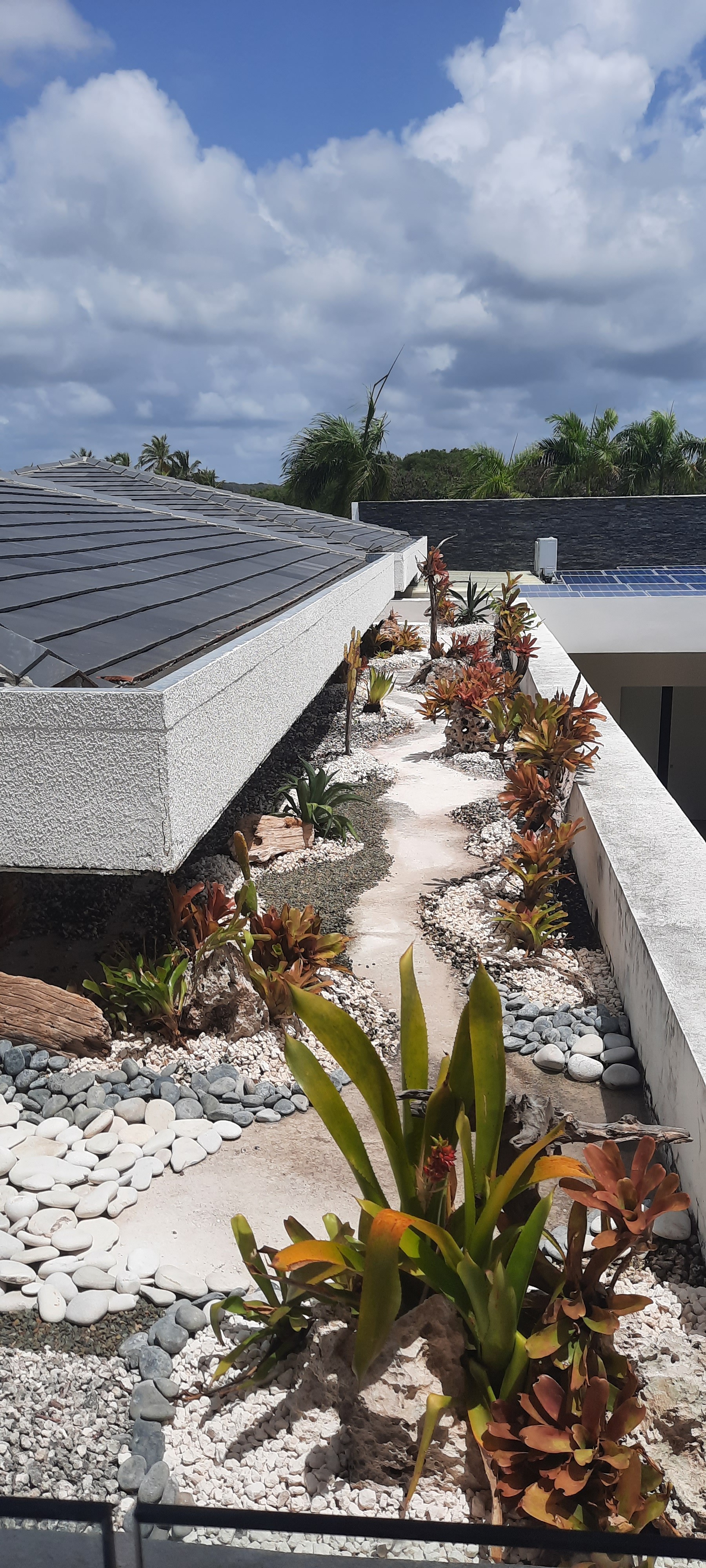 Xeriscape Landscaping & Decorative Rockwork, Punta Cana