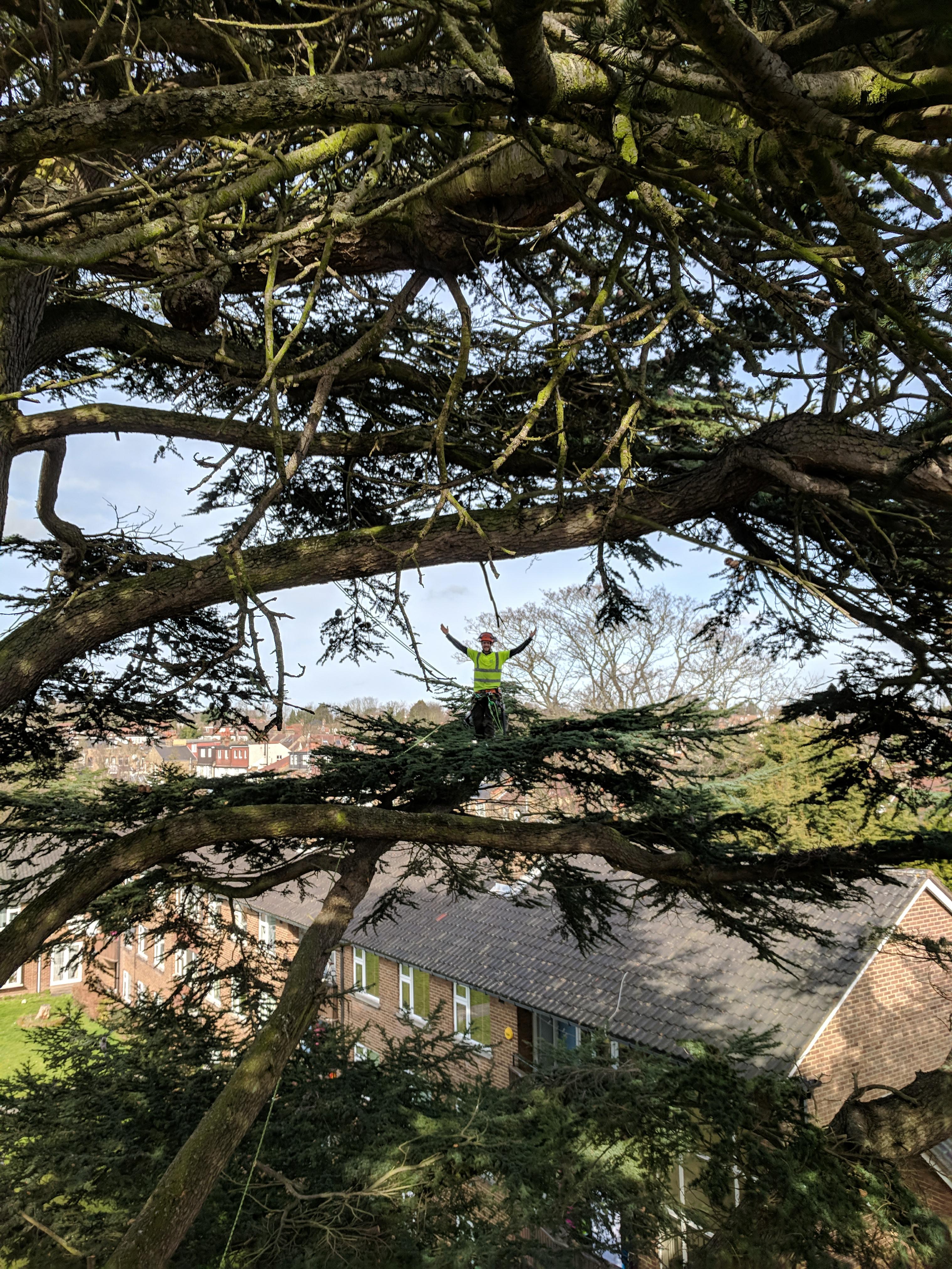 An image of Dreelio's dashboard