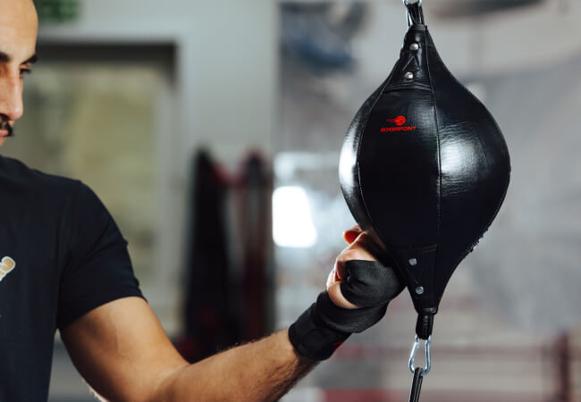 Boxerpoint boxing punching bag equipment adults kids training reflex balls