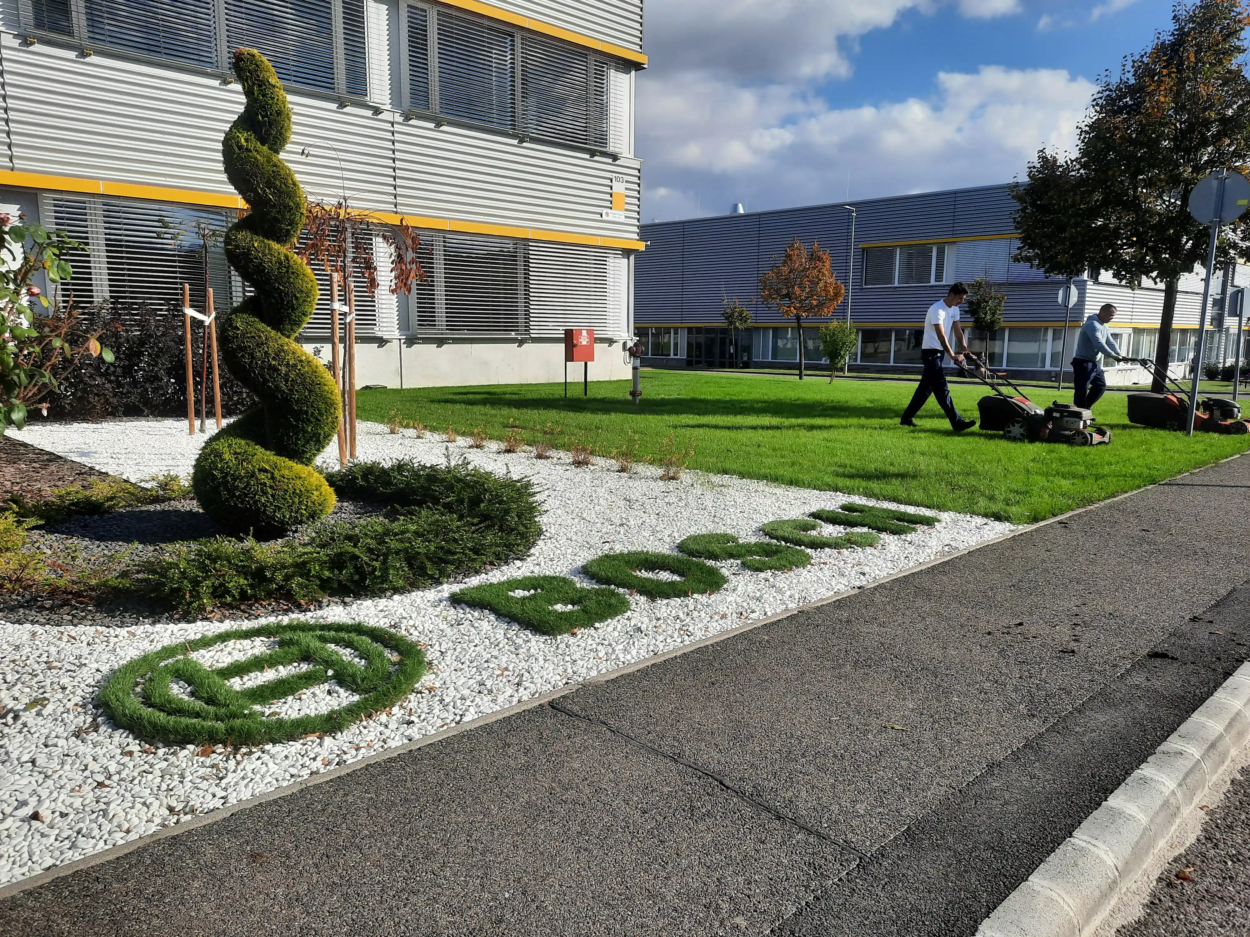 Frissen telepített díszgyep multinacionális vállalat előtt