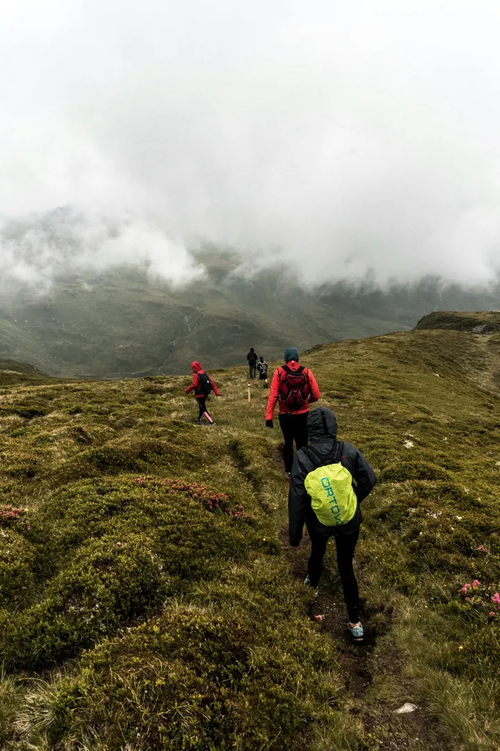 People hiking down a hillside